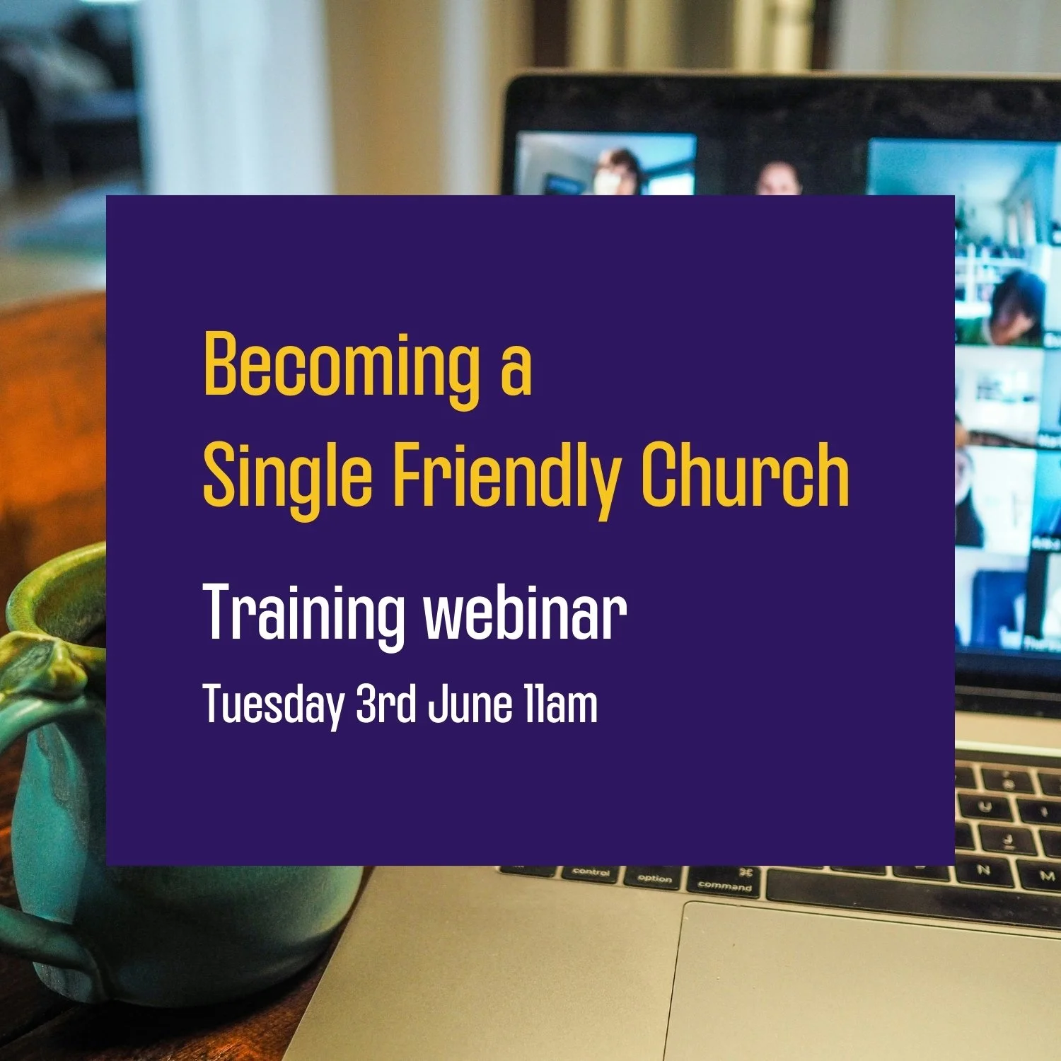 Training webinar - June