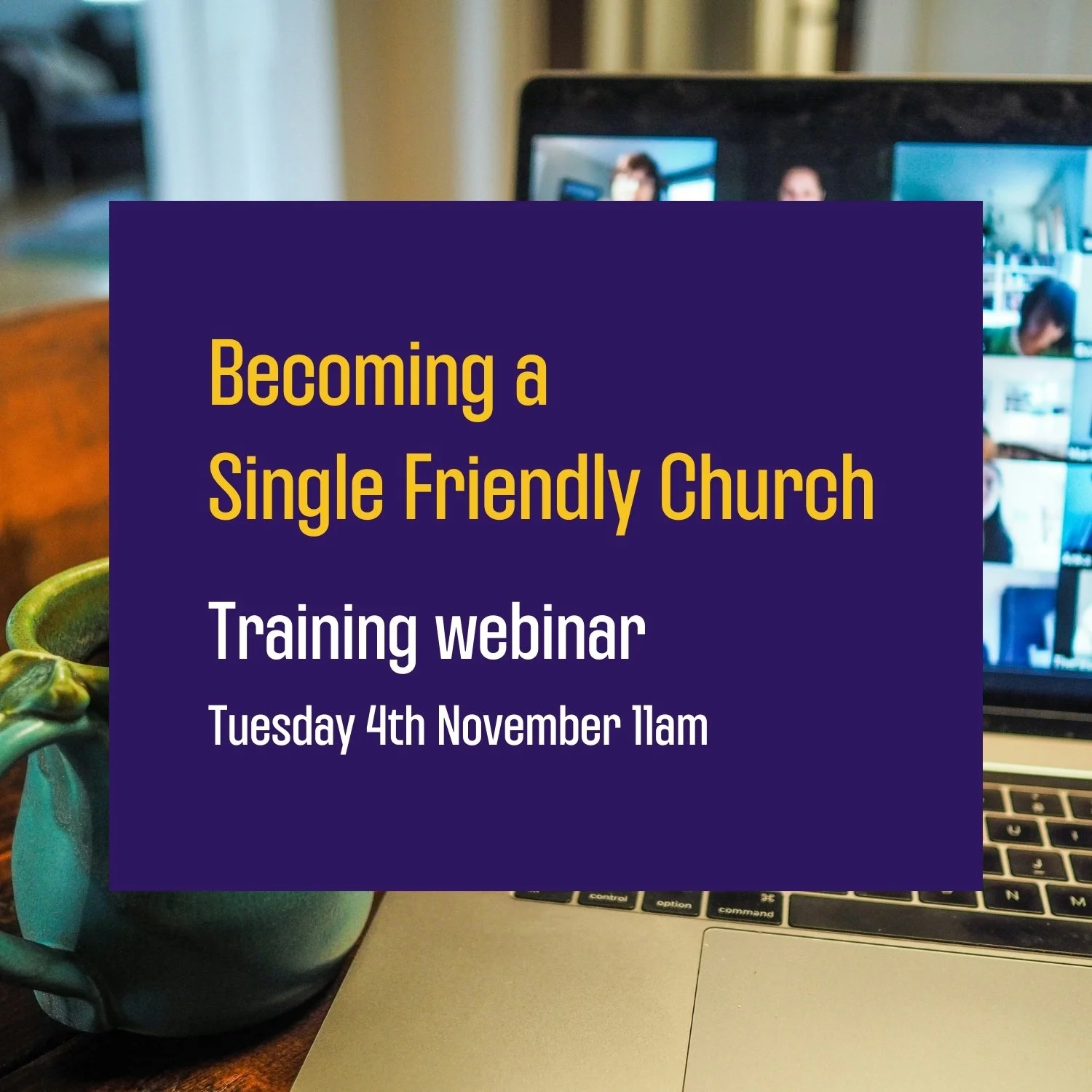 Training webinar - November