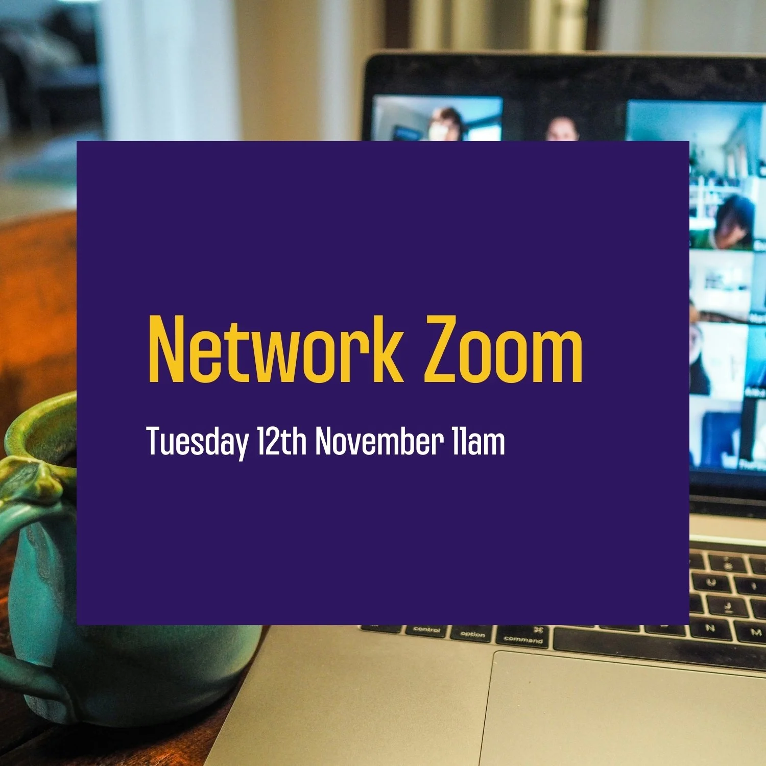 Network Zoom - November