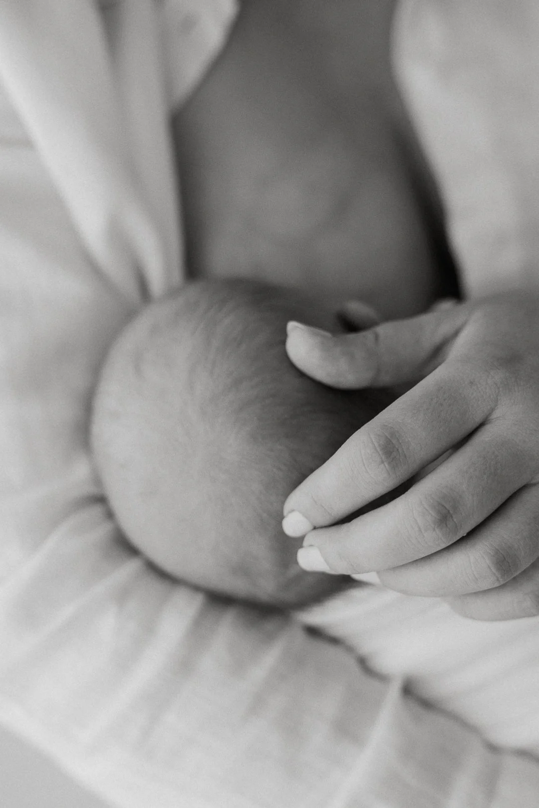 Mustasuu ja käsi, jossa on hoitava kosketus, mustavalkoinen valokuva.