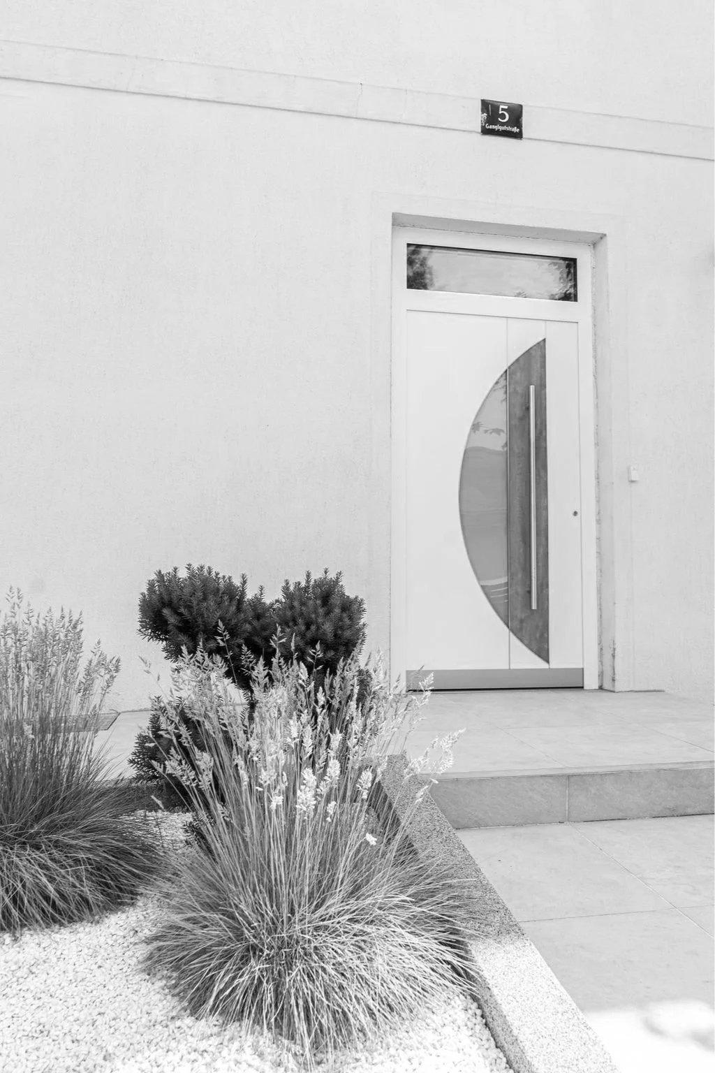 image3.jpg