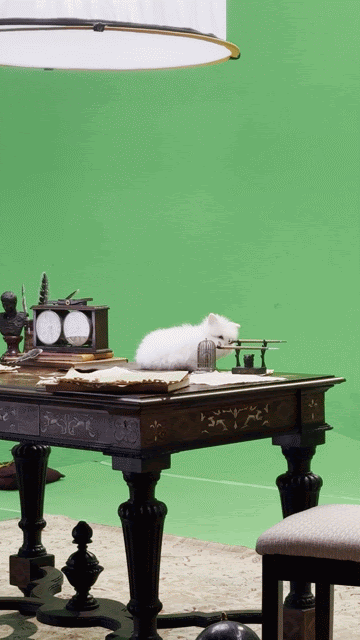 IMG_0347.MOV.gif