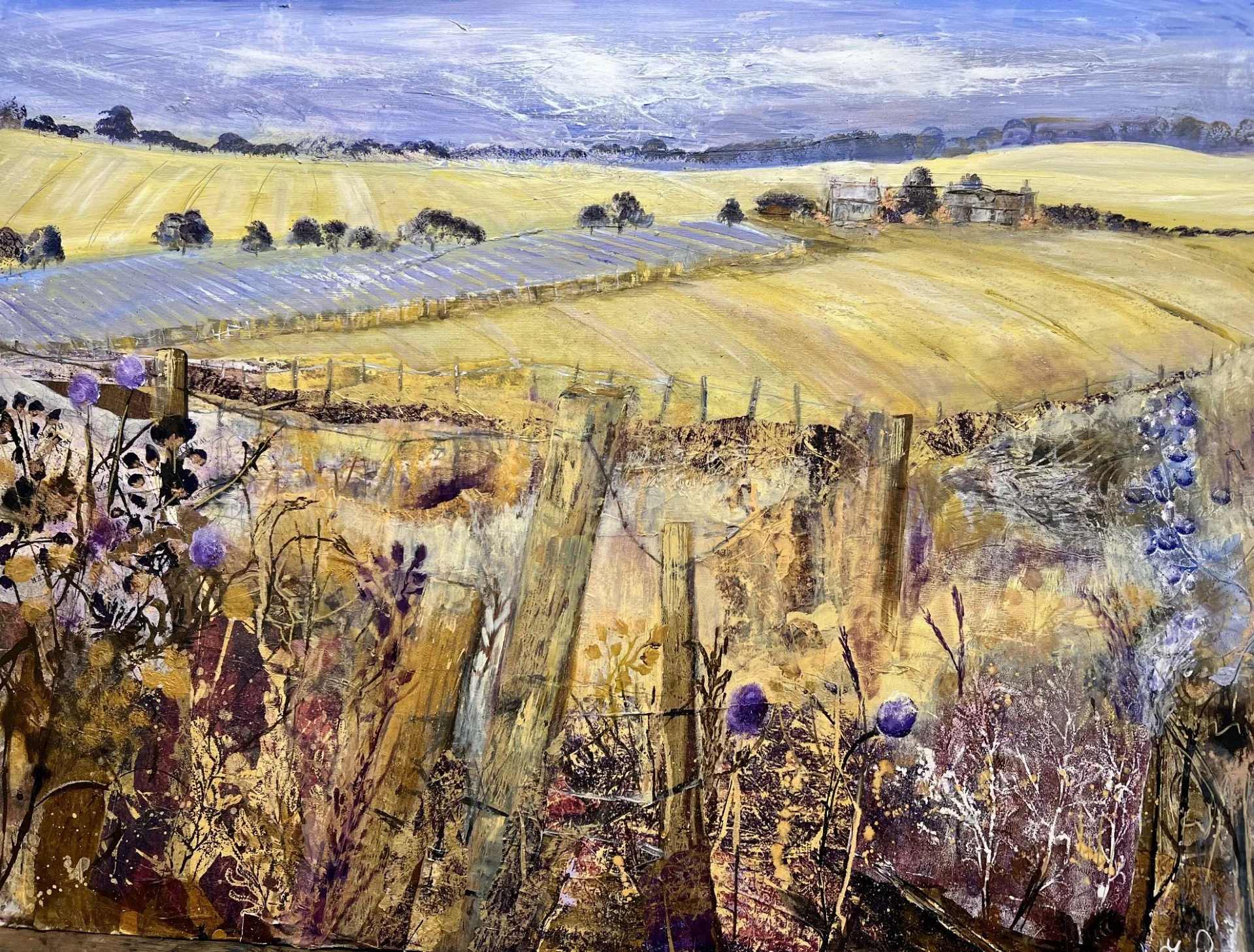 Cotswold Hedgerow.jpg