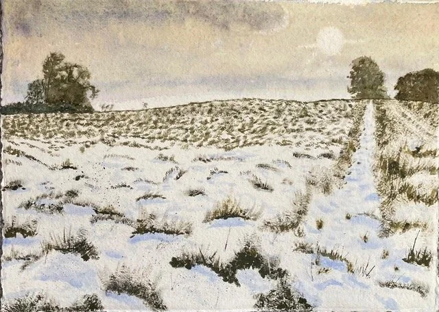 20260723 SNOW MEADOW.jpeg