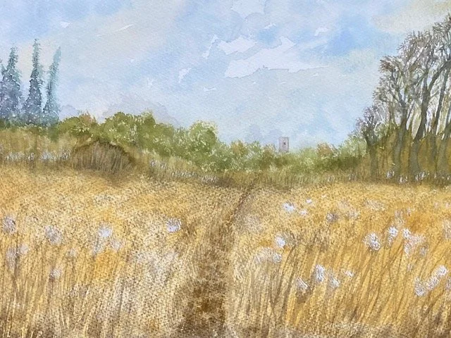 20260826 THE MEADOW WALK TO CHURCH.jpeg