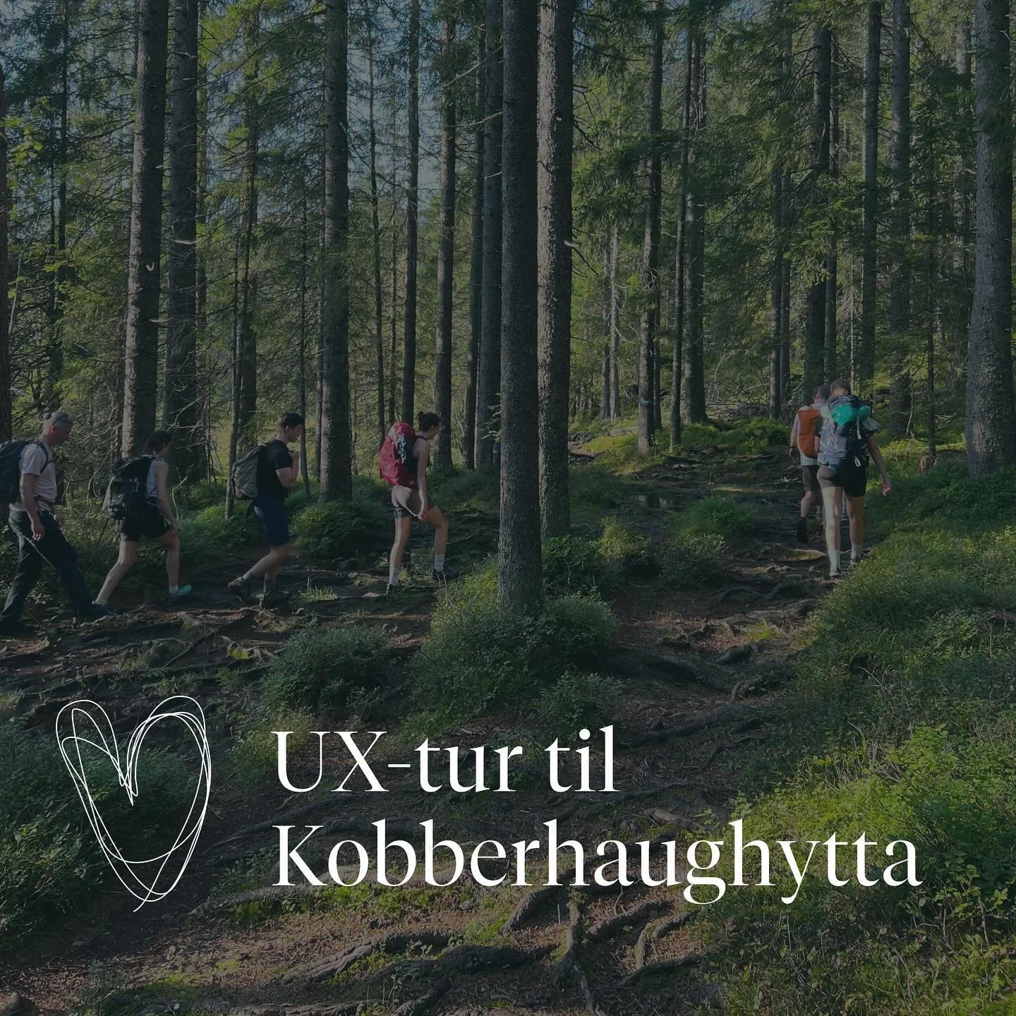 Teambuilding i str&aring;lende v&aelig;r! ☀️H&oslash;stens UX-tur gikk til Kobberhaugshytta 🌲