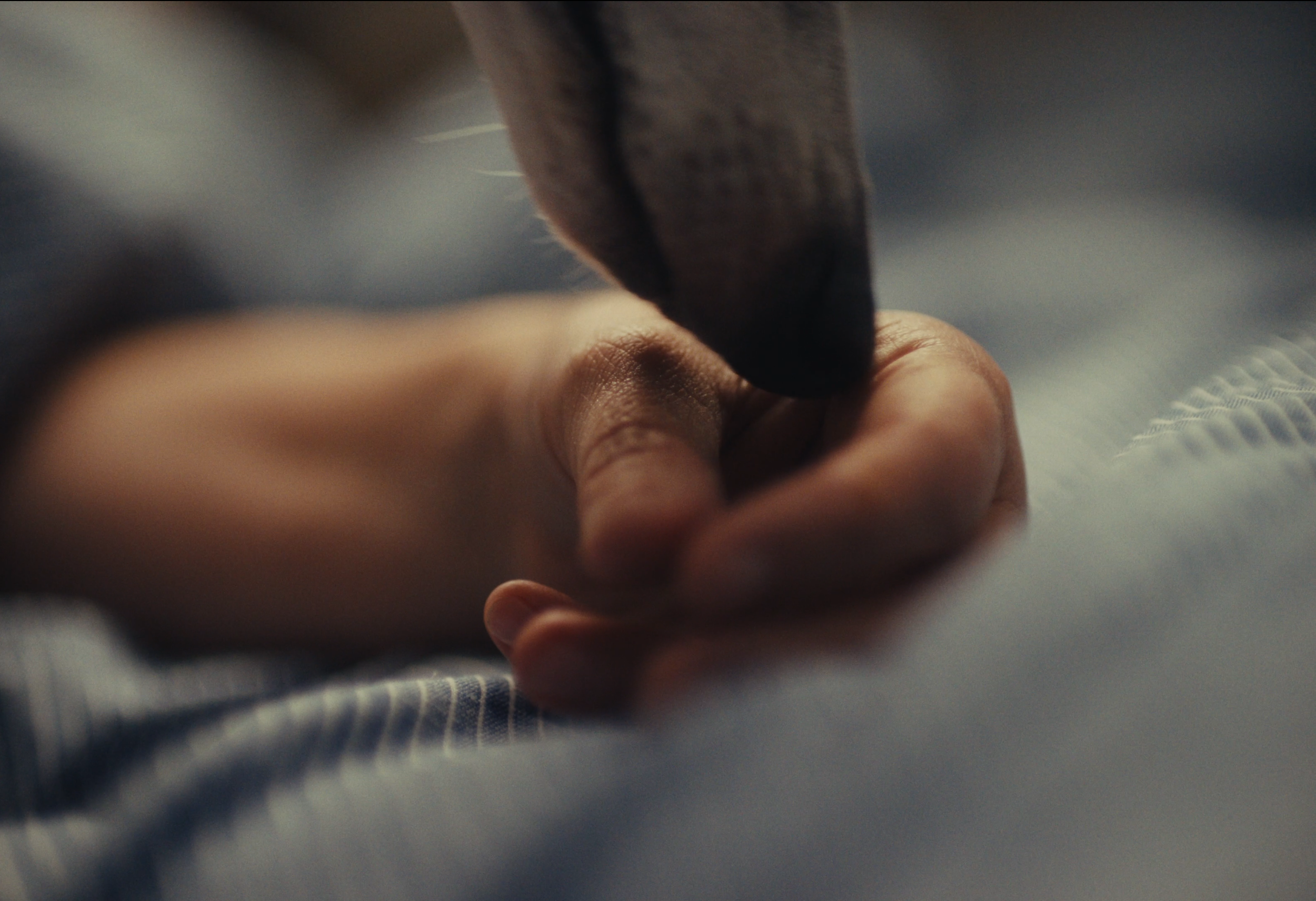 Screenshot 2026-01-19 at 21.34.14.png