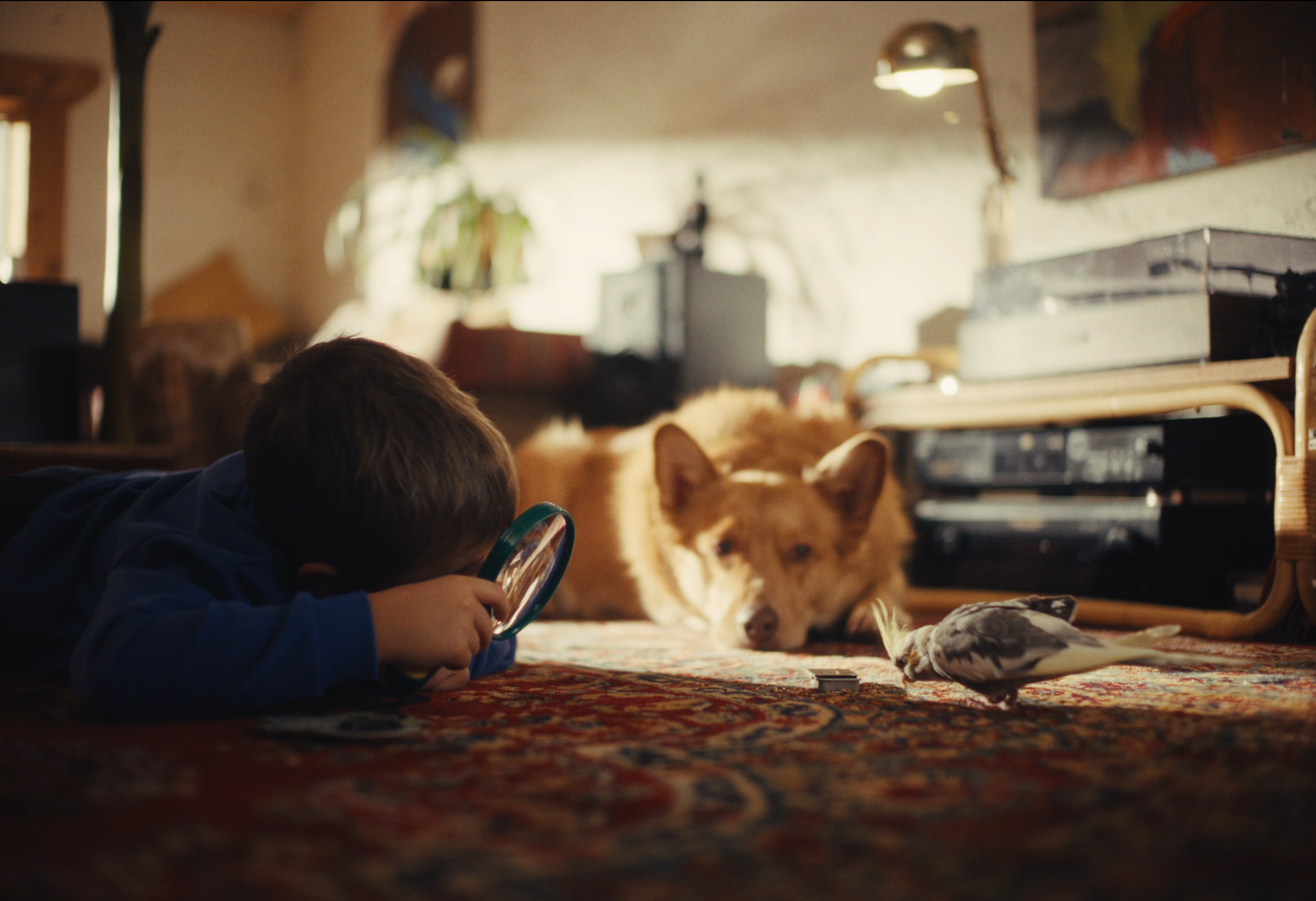 Screenshot 2026-01-19 at 21.37.27.png