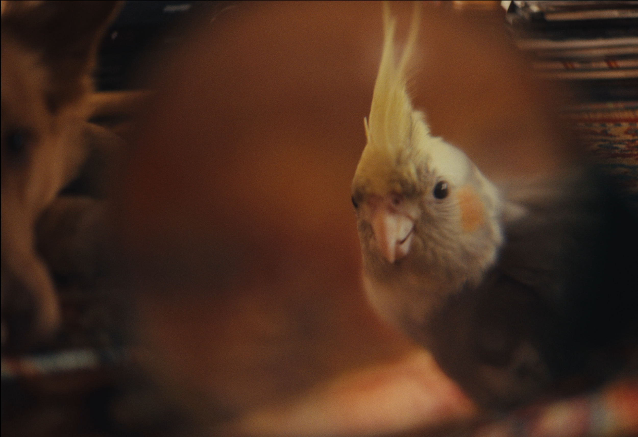 Screenshot 2026-01-19 at 21.37.15.png