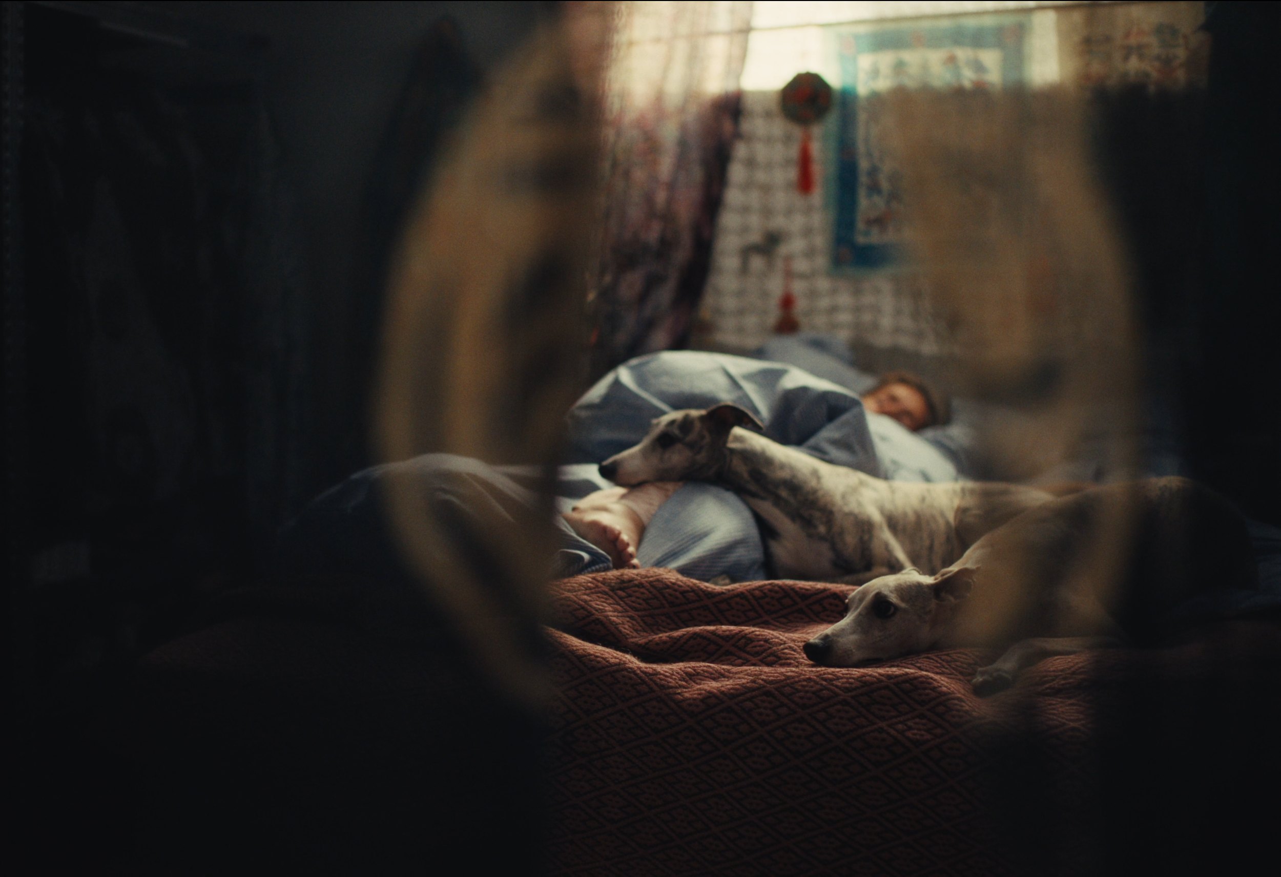 Screenshot 2026-01-19 at 21.32.34.png