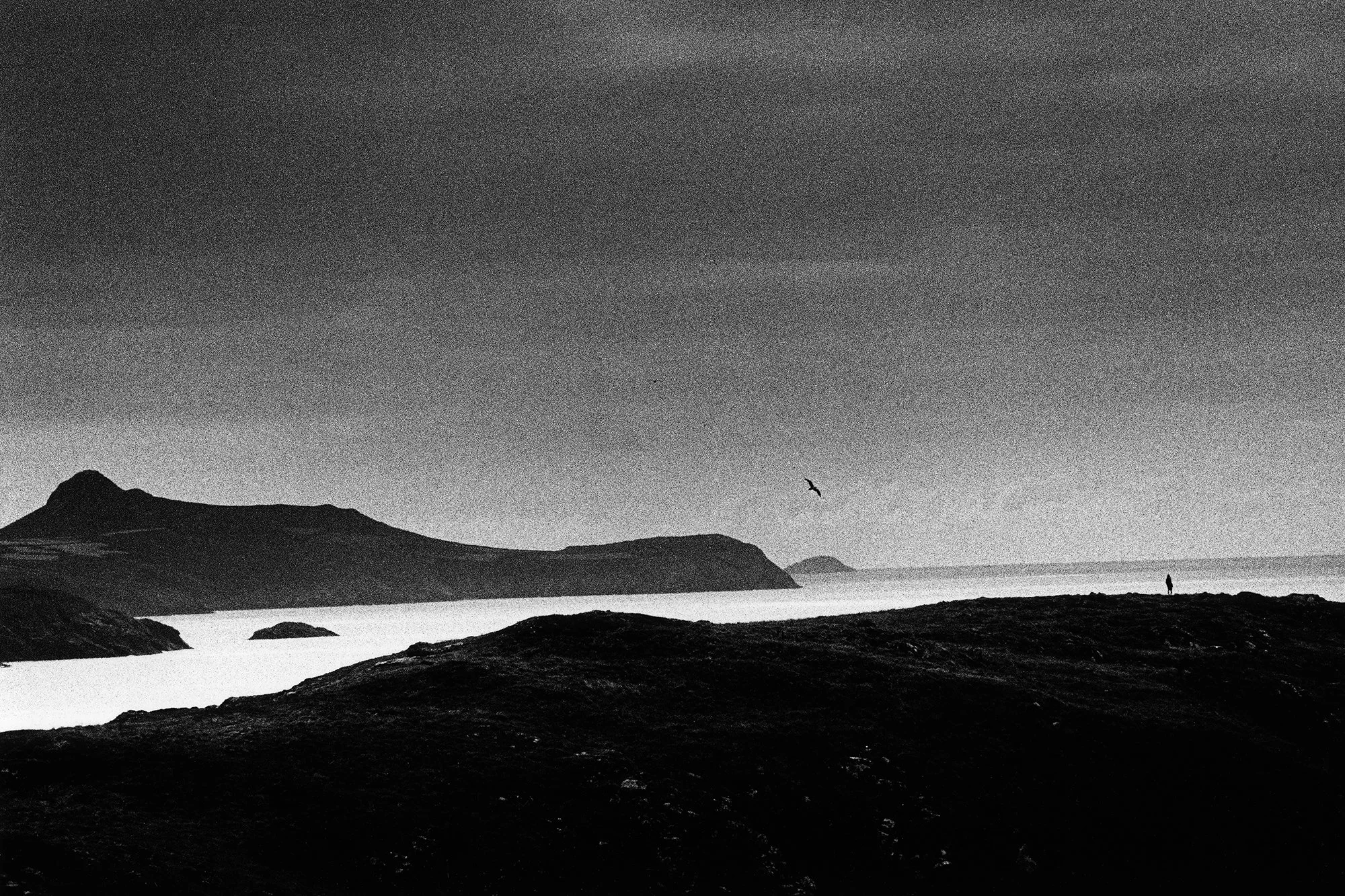 Pembrokeshire, Wales, 2025_2025_85_21.jpg