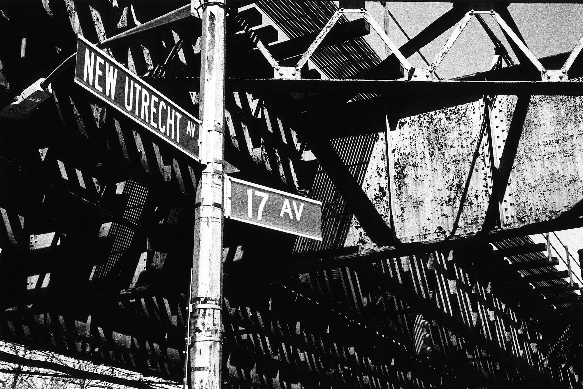 New Utrecht Avenue, Brooklyn, 2016