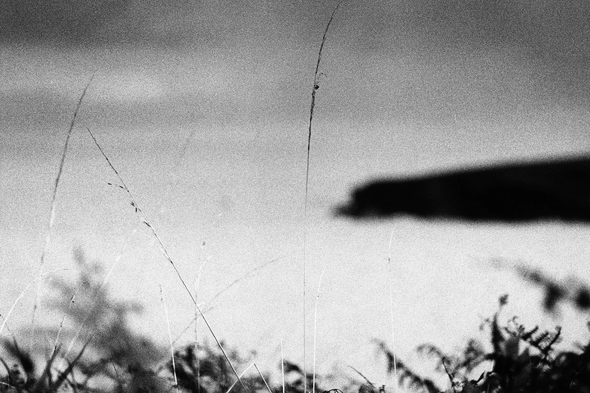 Pembrokeshire, Wales, 2025_2025_64_32.jpg