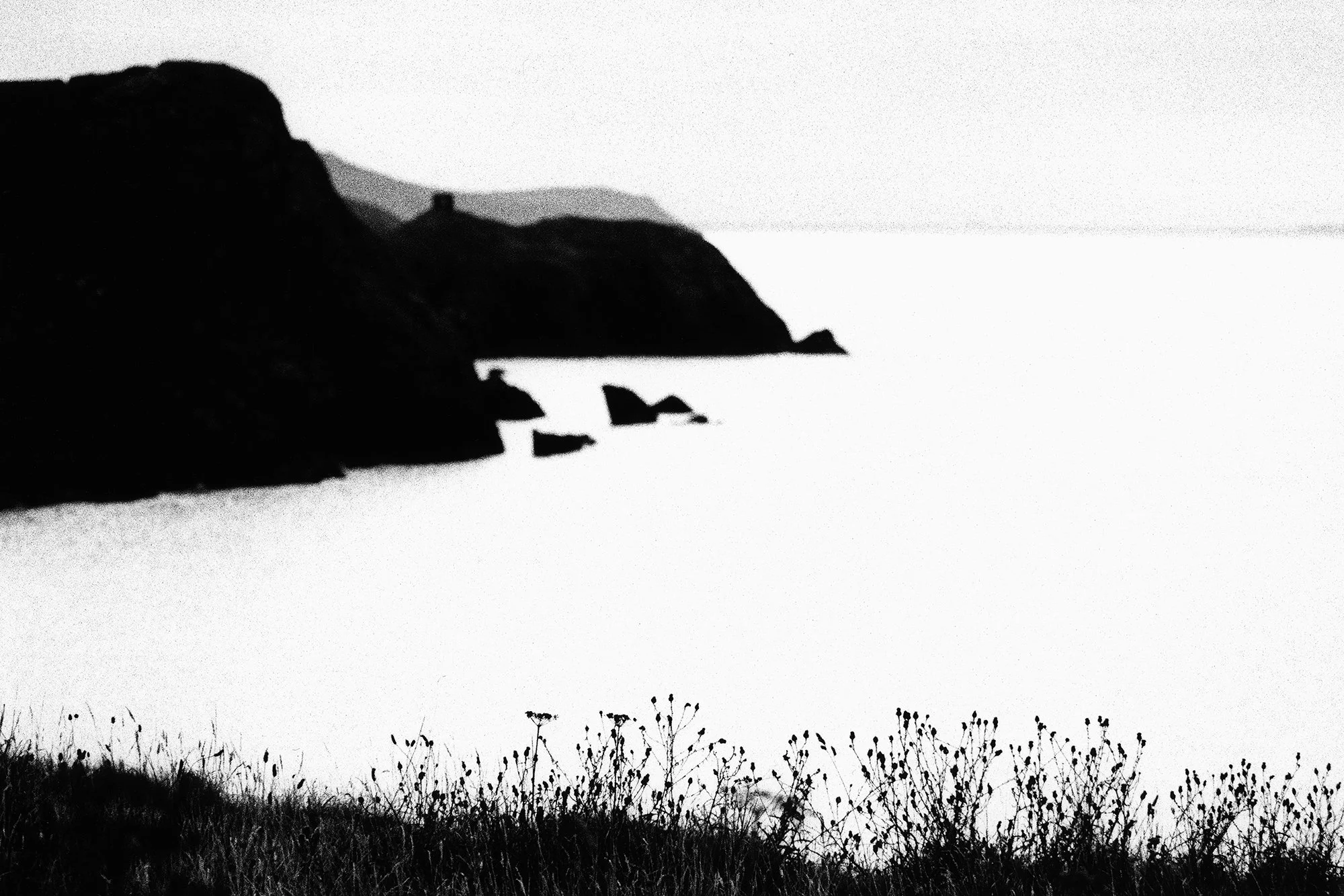 Pembrokeshire, Wales, 2025_2025_83_27.jpg