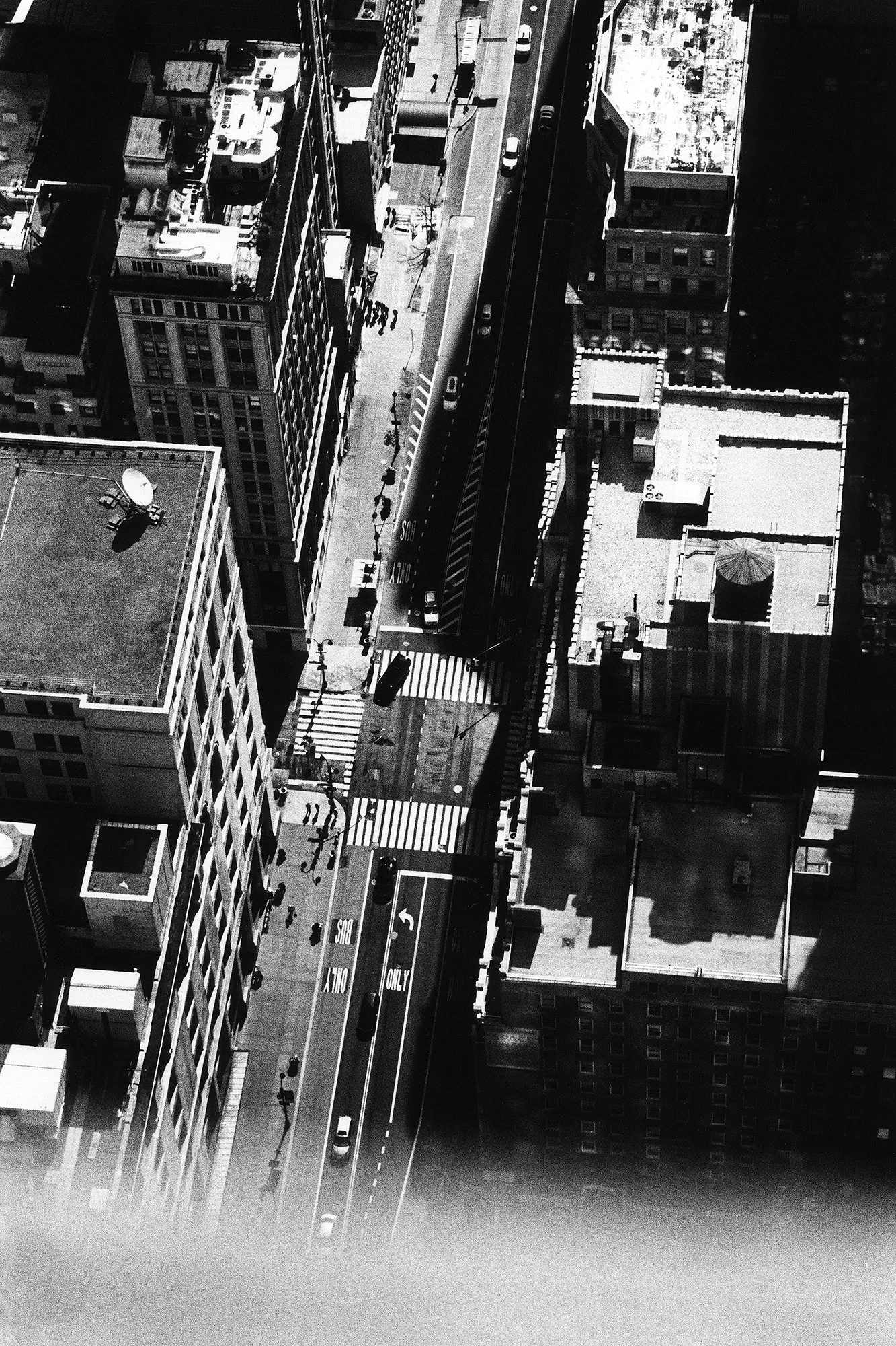 New York, New York, 2016