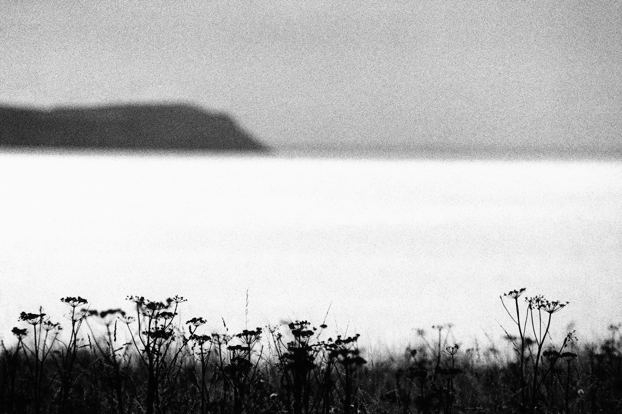 Pembrokeshire, Wales, 2025_2025_83_1.jpg