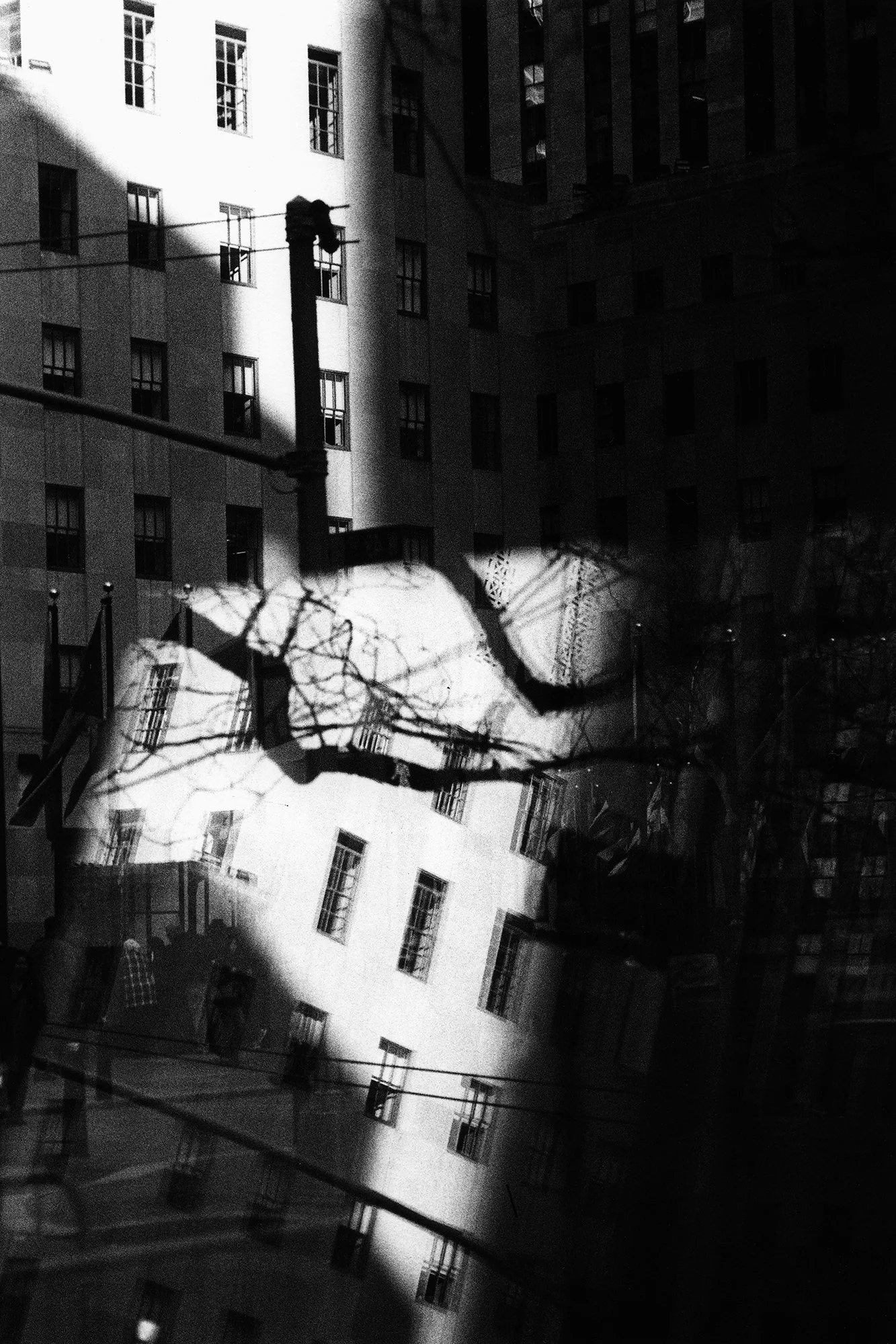 New York, New York, 2016