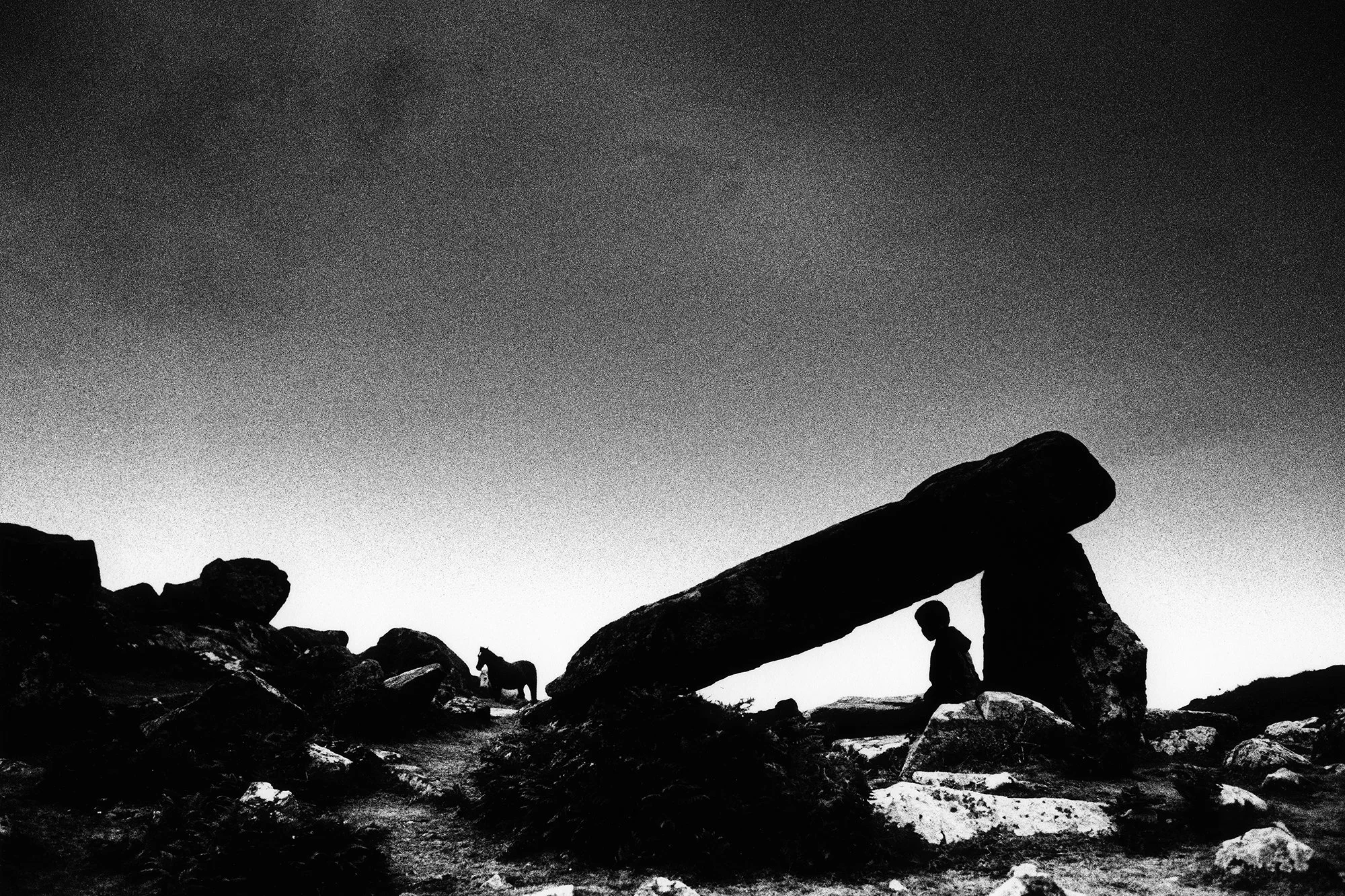 Pembrokeshire, Wales, 2025_2025_93_14.jpg