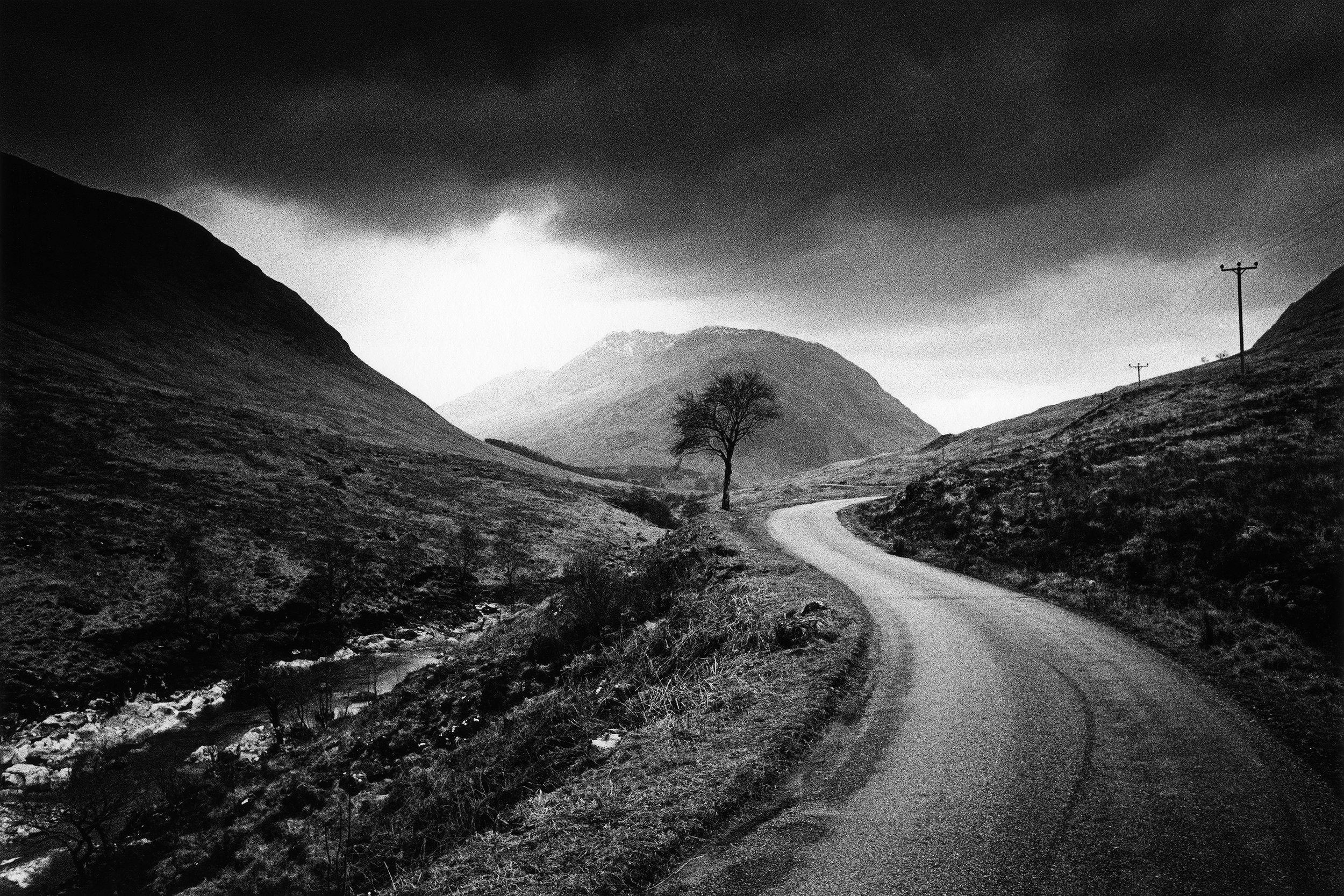 Kit Young