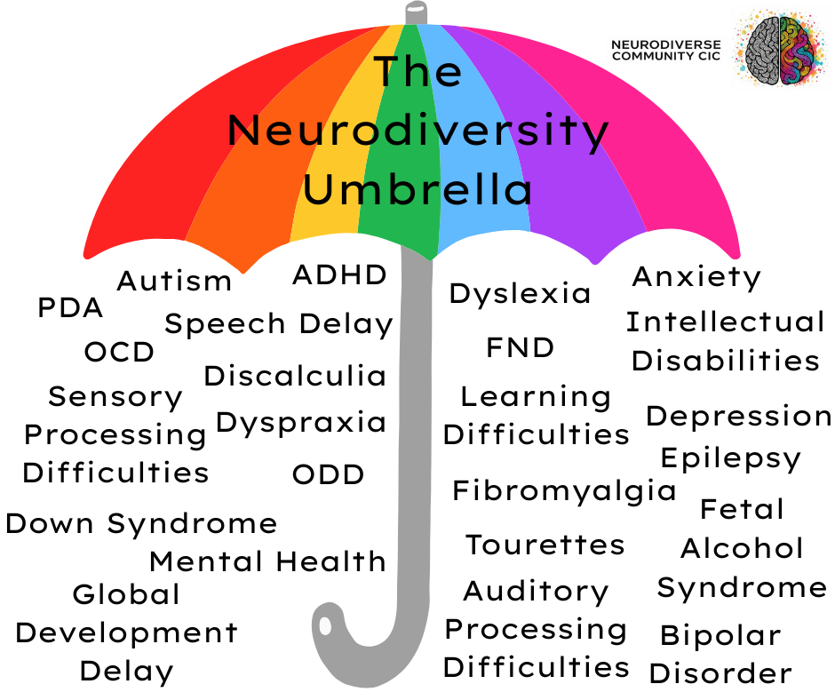 A colorful umbrella labeled 'The Neurodiversity Umbrella' with various neurodivergent conditions listed underneath, including autism, ADHD, dyslexia, anxiety, OCD, speech delay, disabilities, depression, epilepsy, and more. The logo of Neurodiverse Community CIC is in the top right corner.