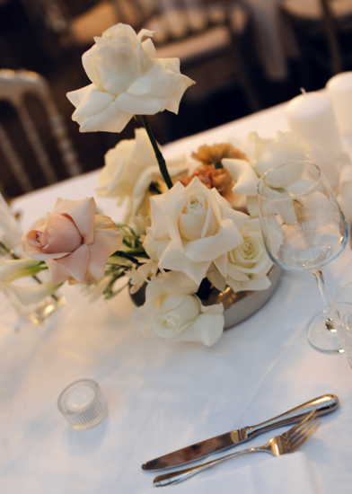 Screenshot 2026-02-26 113949.png