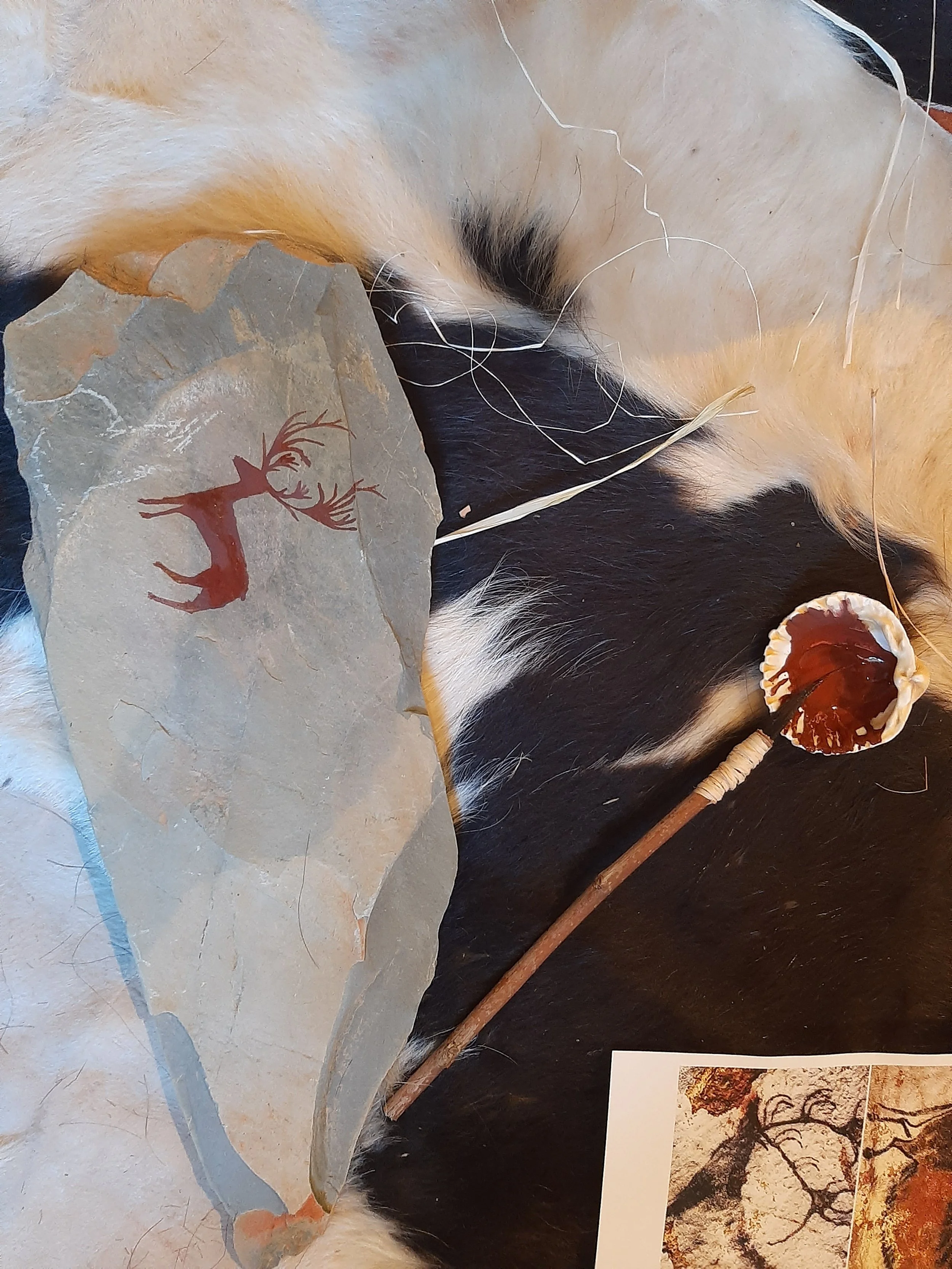 20201107_114418.jpg