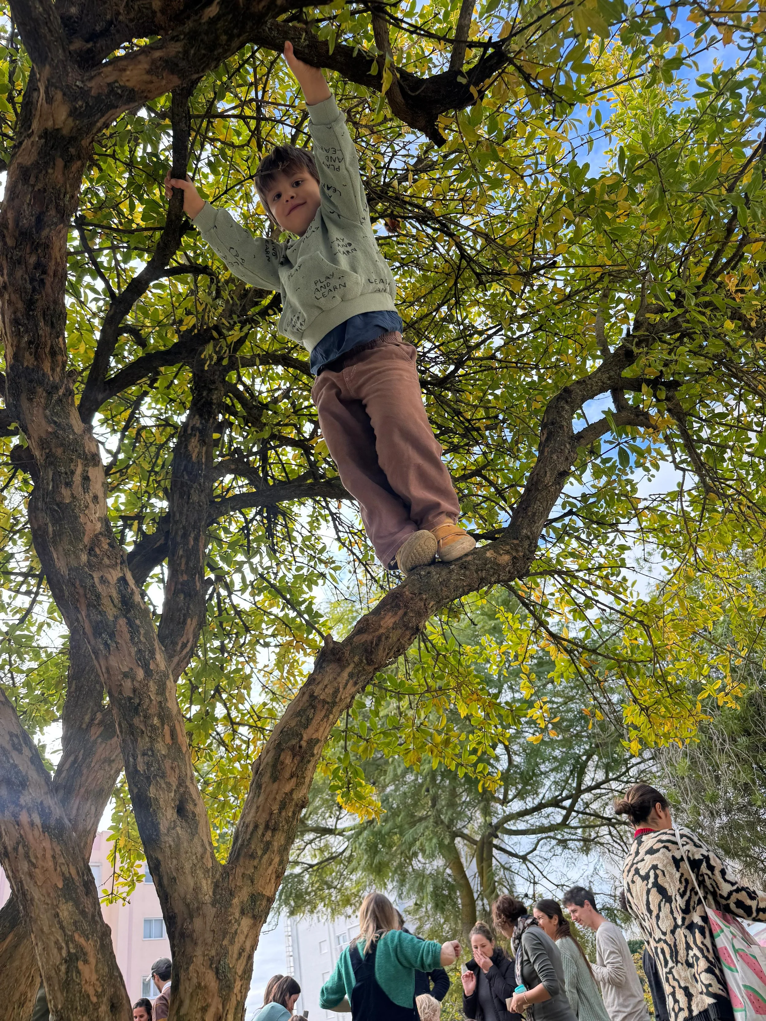 Cópia de IMG-20251125-WA0131.jpg