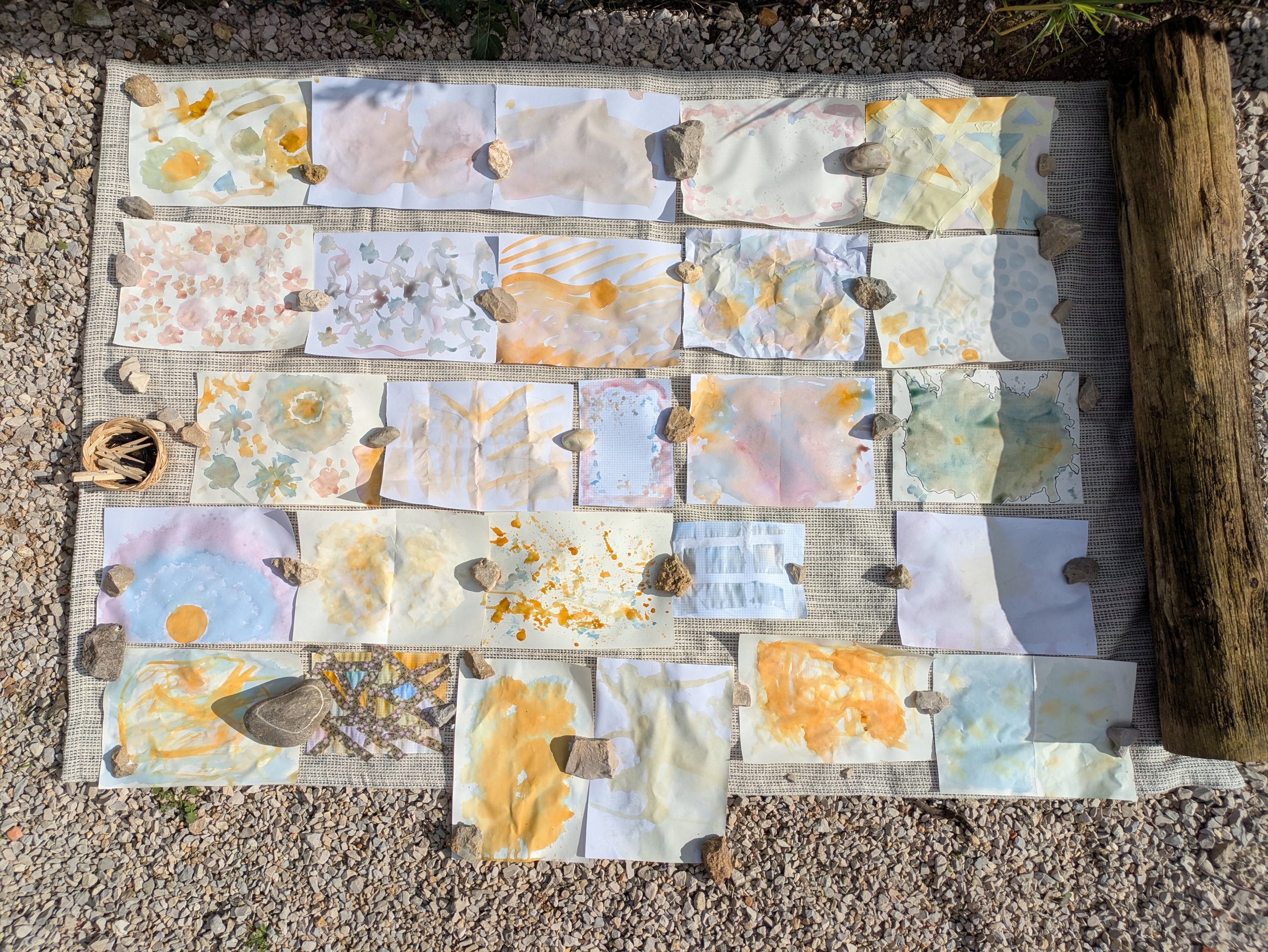 Cópia de PXL_20250222_150228483.MP.jpg