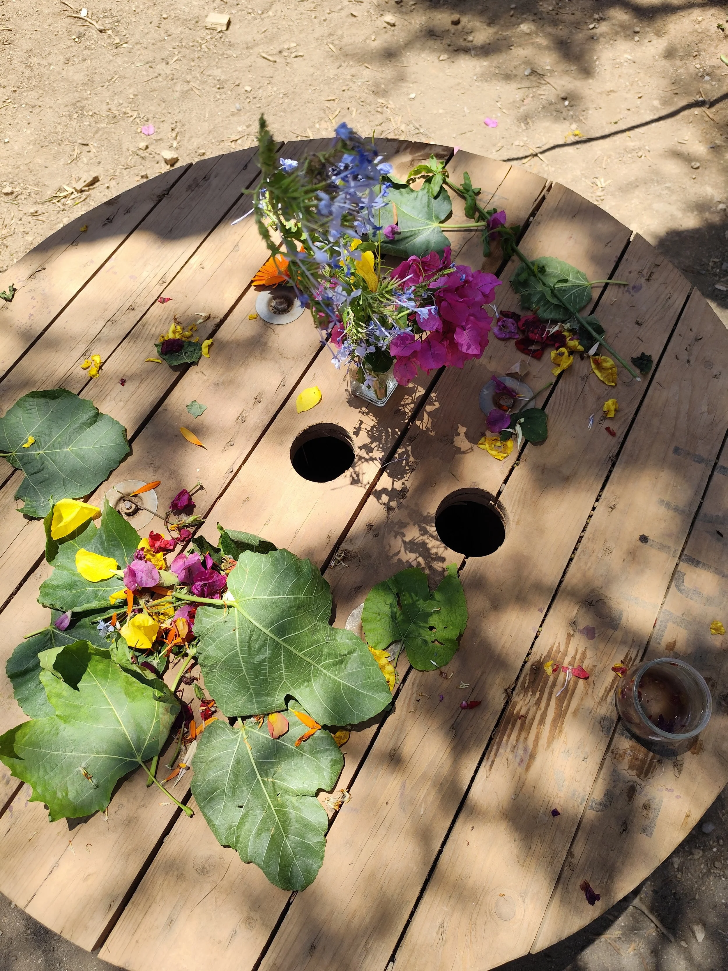 Cópia de IMG_20250715_132712.jpg