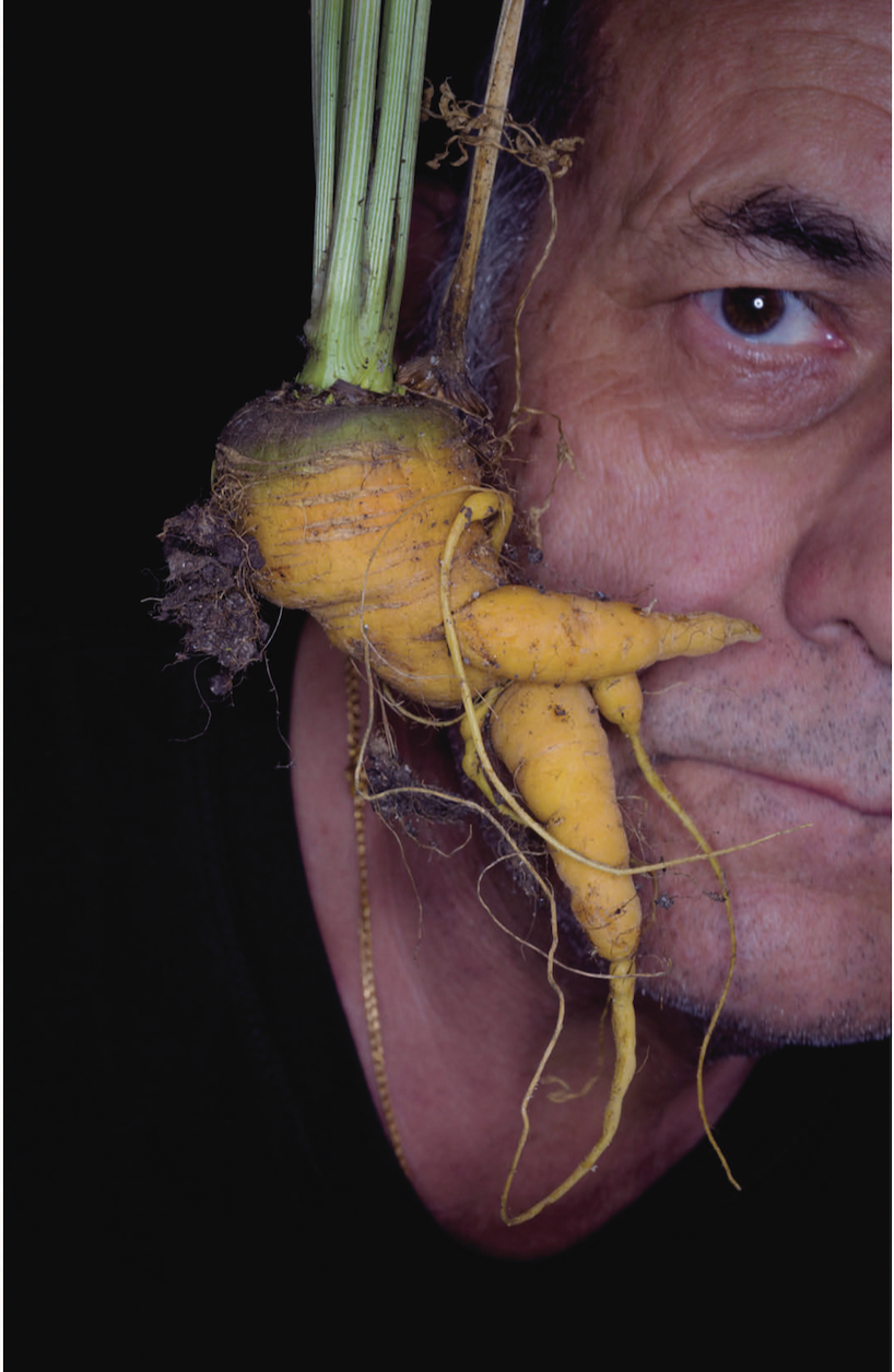 Exposição de fotografia "Coreografias da Natureza" de Jose Zyberchema