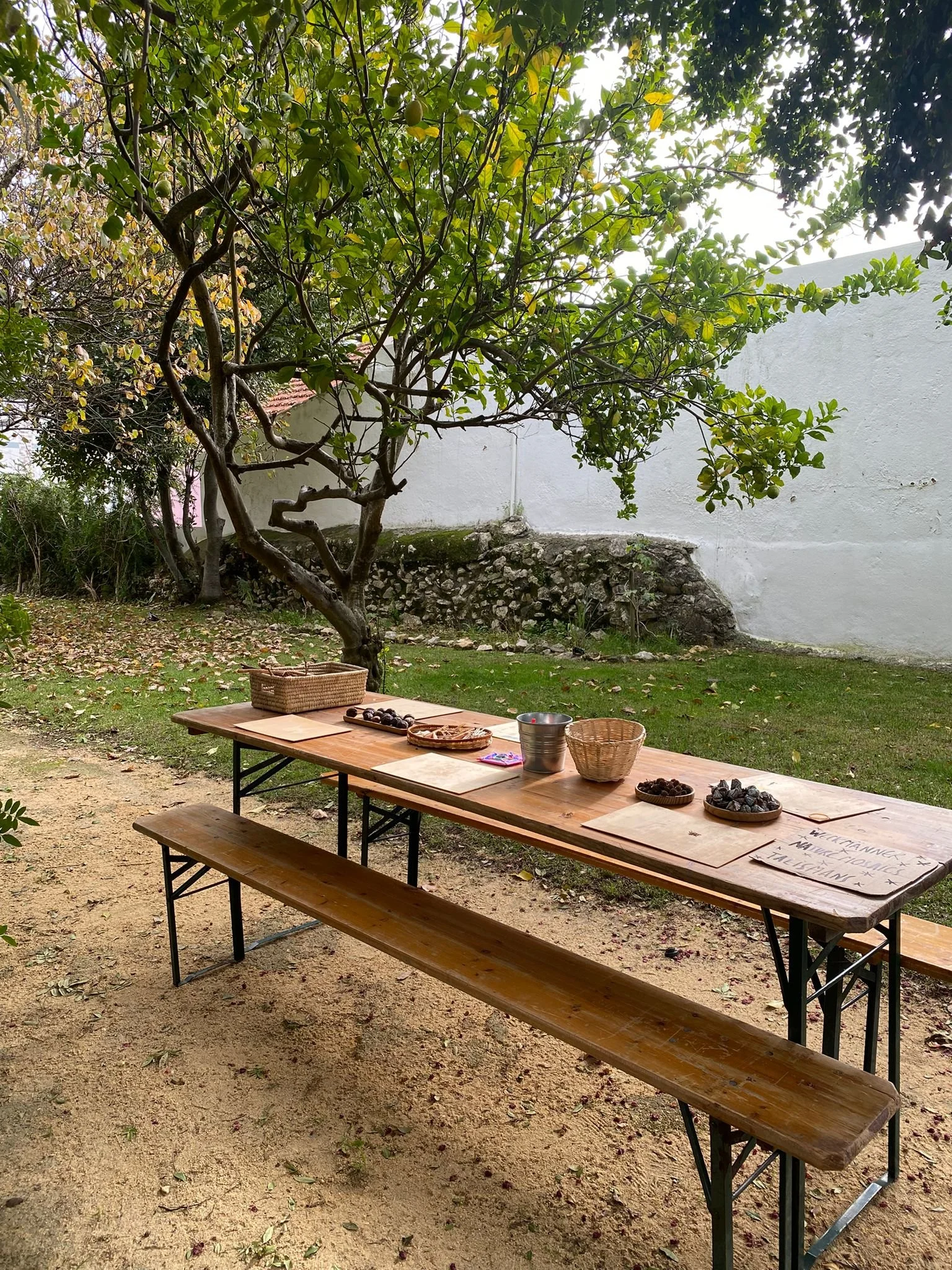 Cópia de IMG-20251125-WA0151.jpg