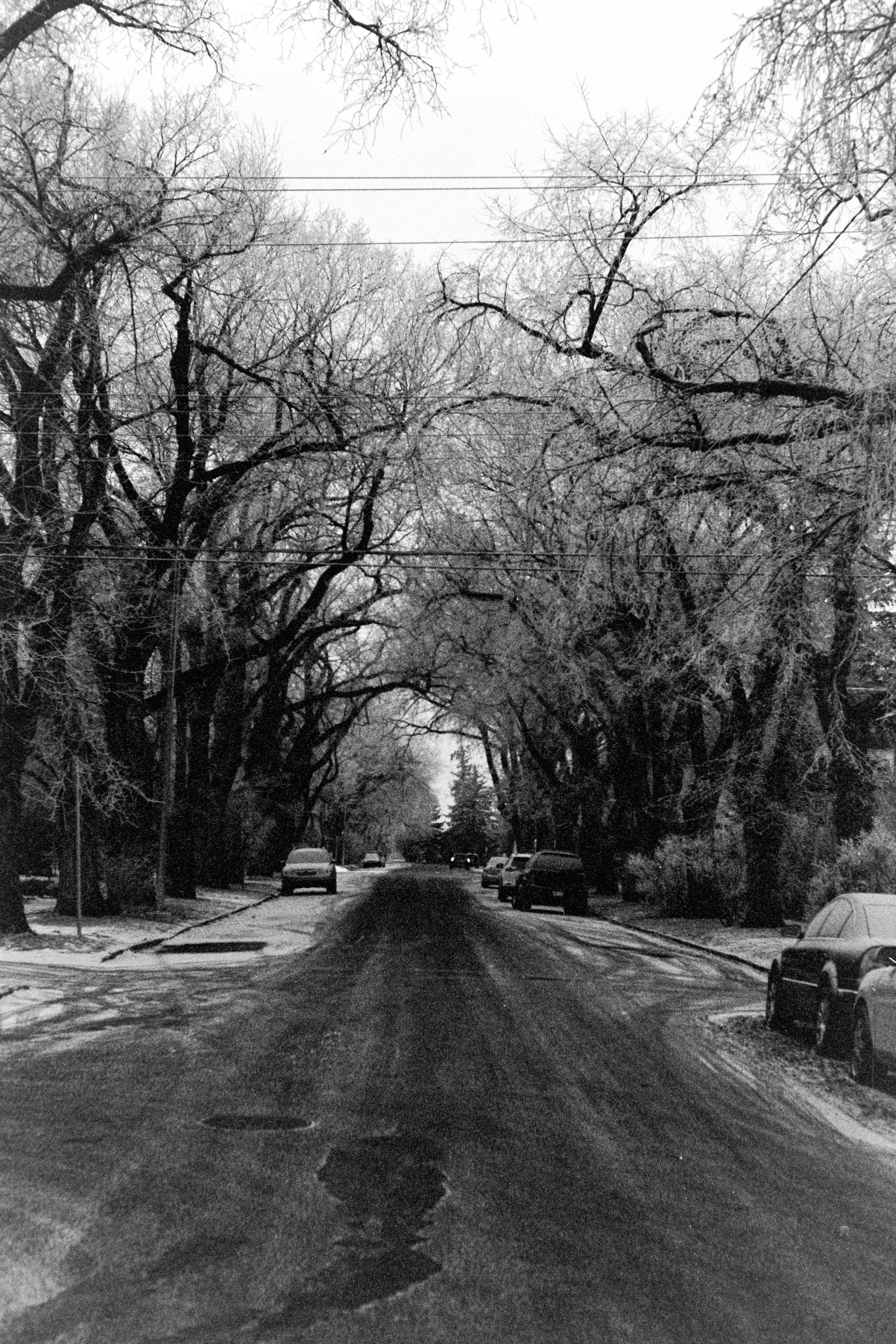 Winter Street
