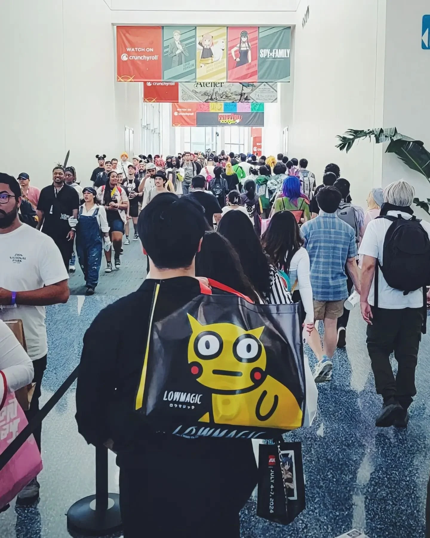 O_____O  @animeexpo