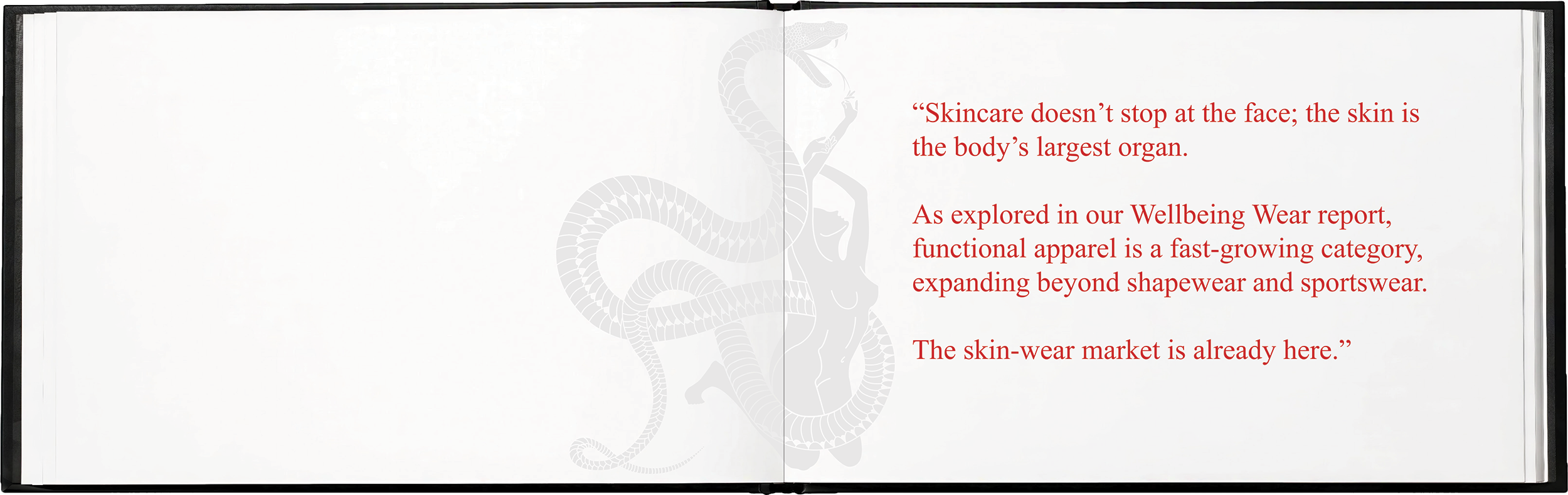 SYLVA brand book - 11.png