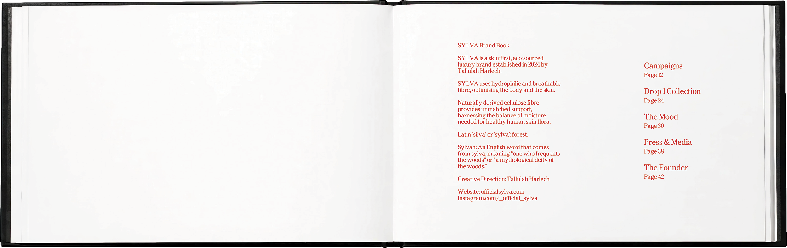 SYLVA brand book - 3.png