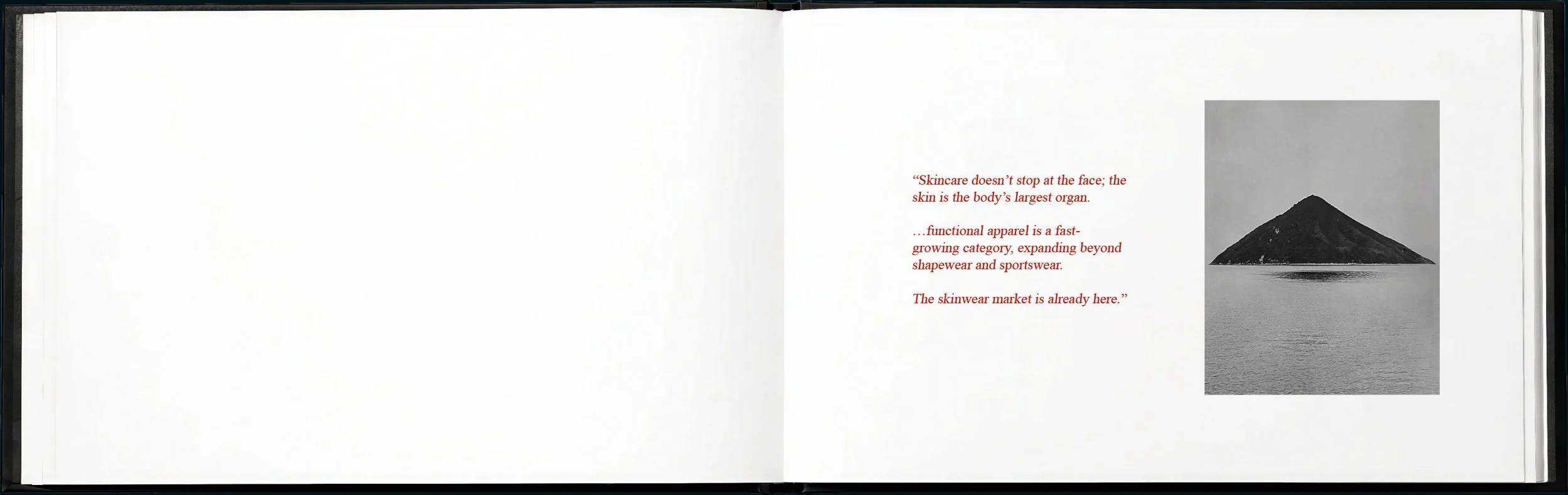 SYLVA brand book20.jpg