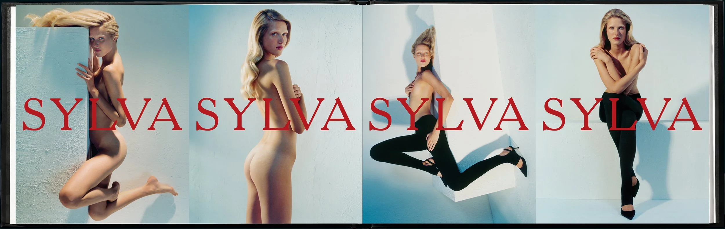 SYLVA brand book7.jpg