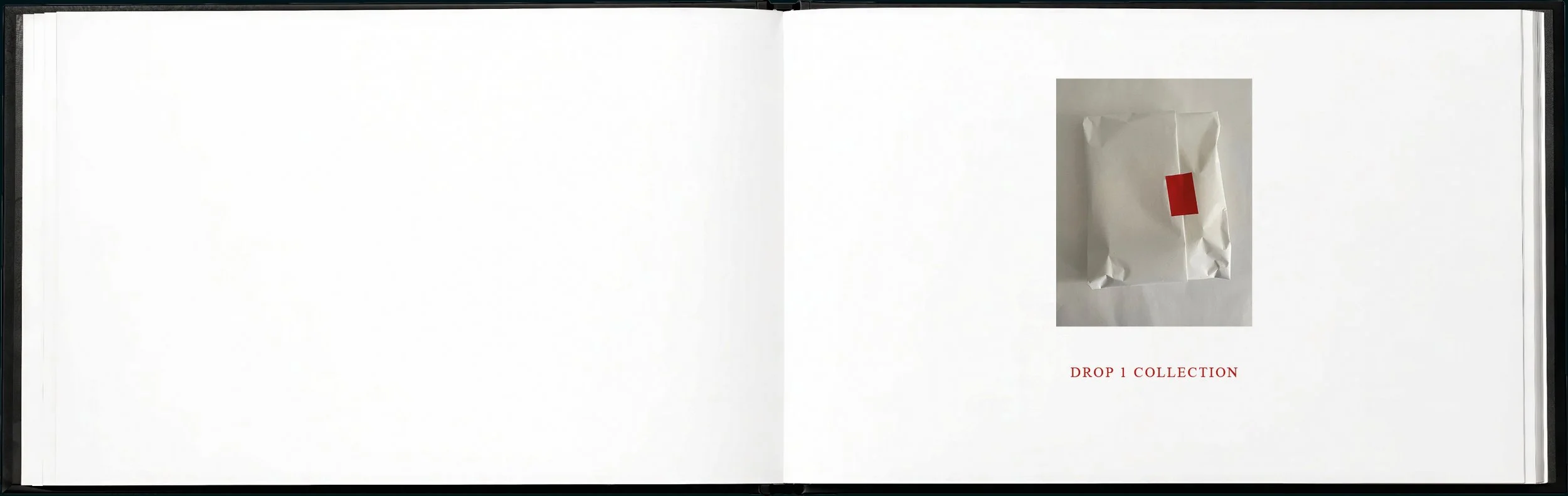SYLVA brand book8.jpg