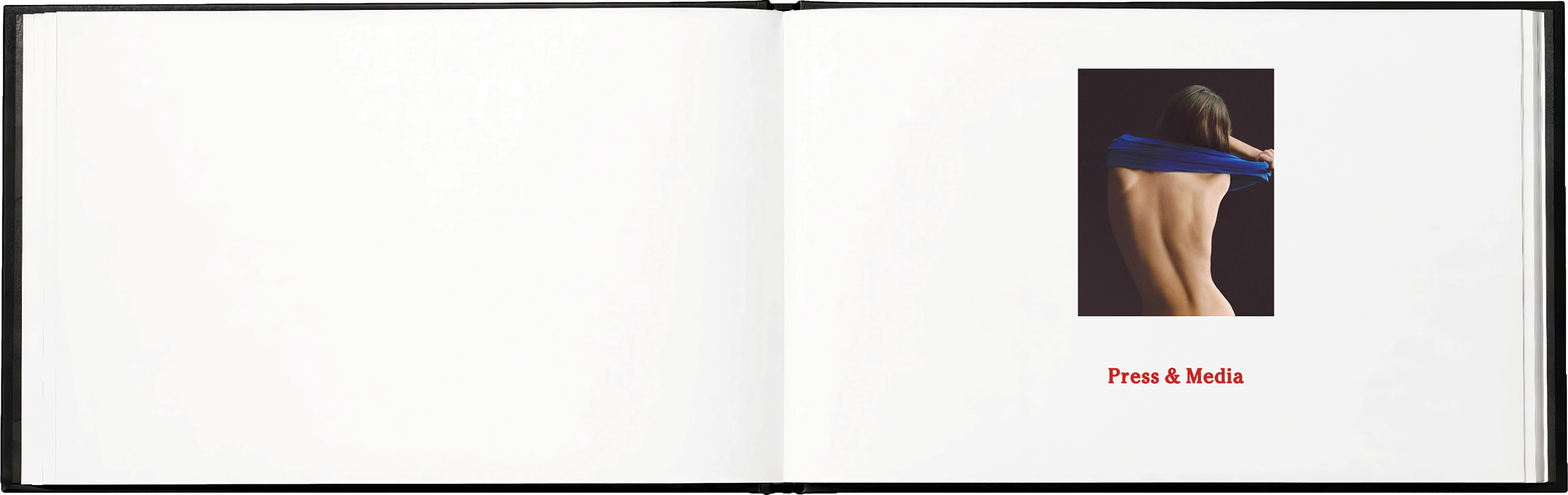 SYLVA brand book - 20.png