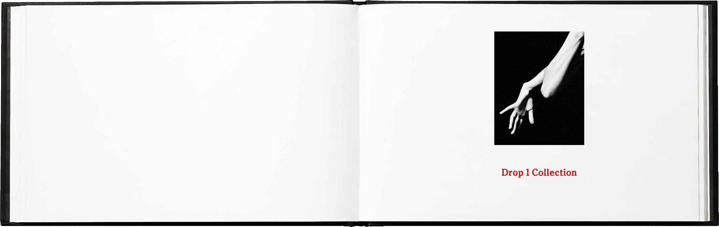 SYLVA brand book - 13.png