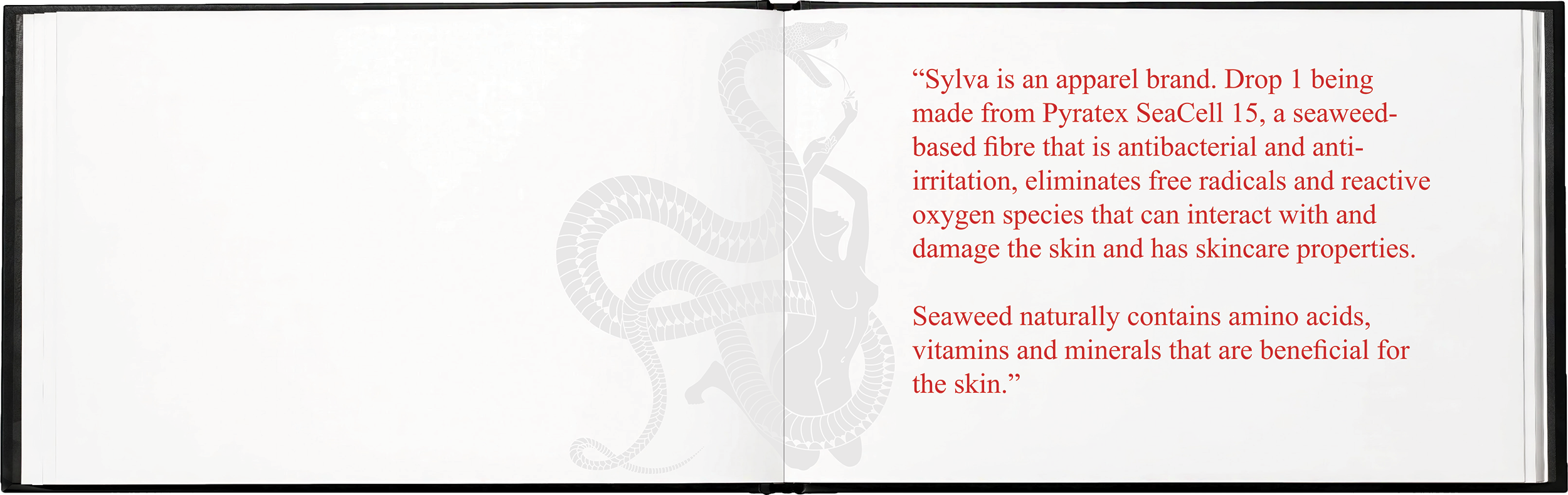 SYLVA brand book - 6.png