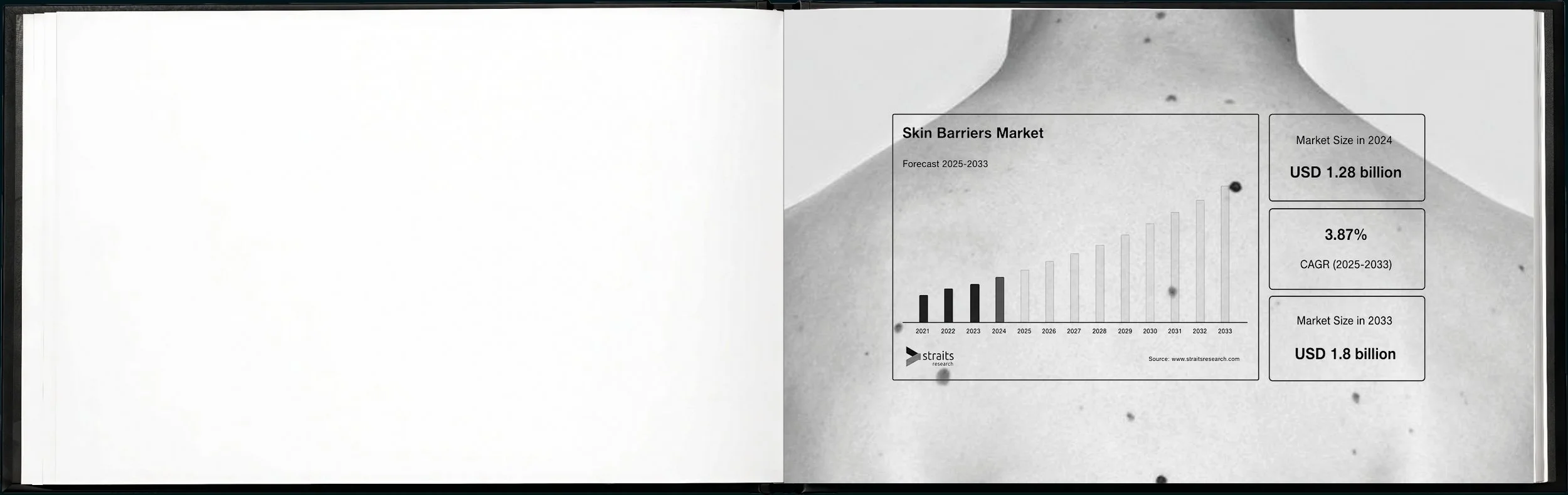 SYLVA brand book12.jpg