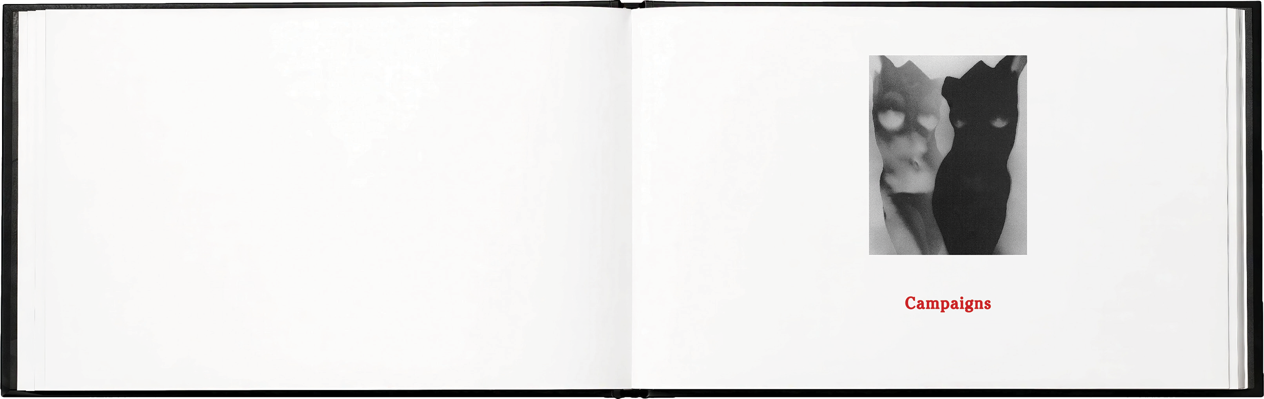 SYLVA brand book - 7.png