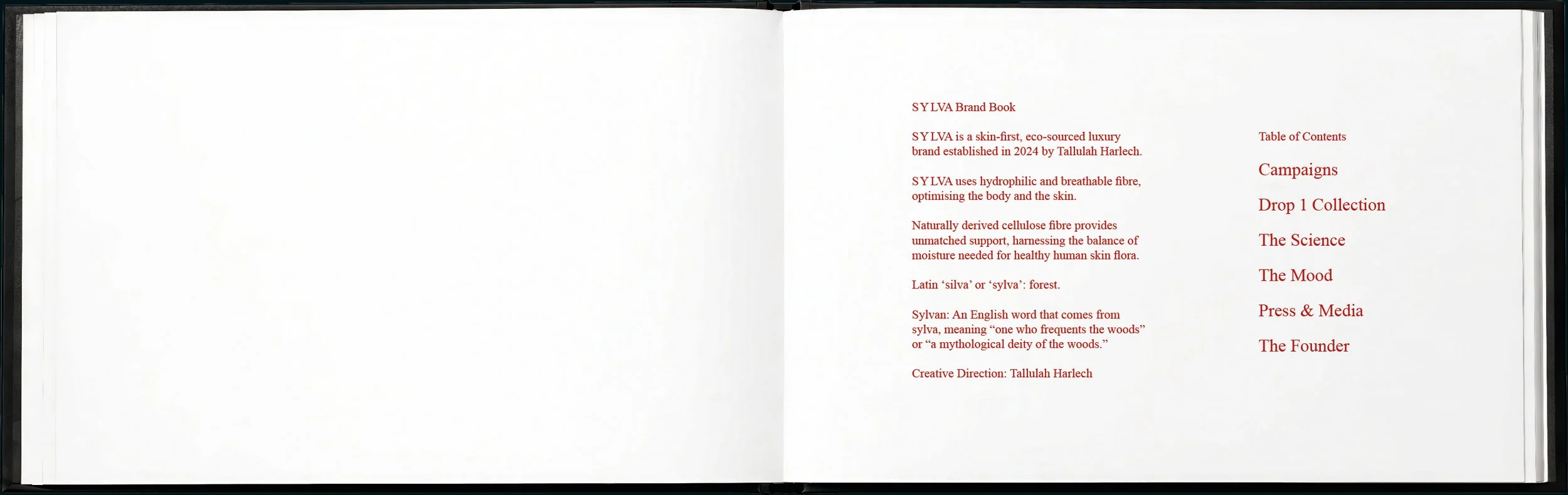 SYLVA brand book3.jpg