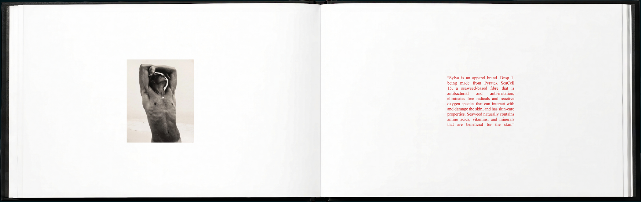 Untitled design (17).png