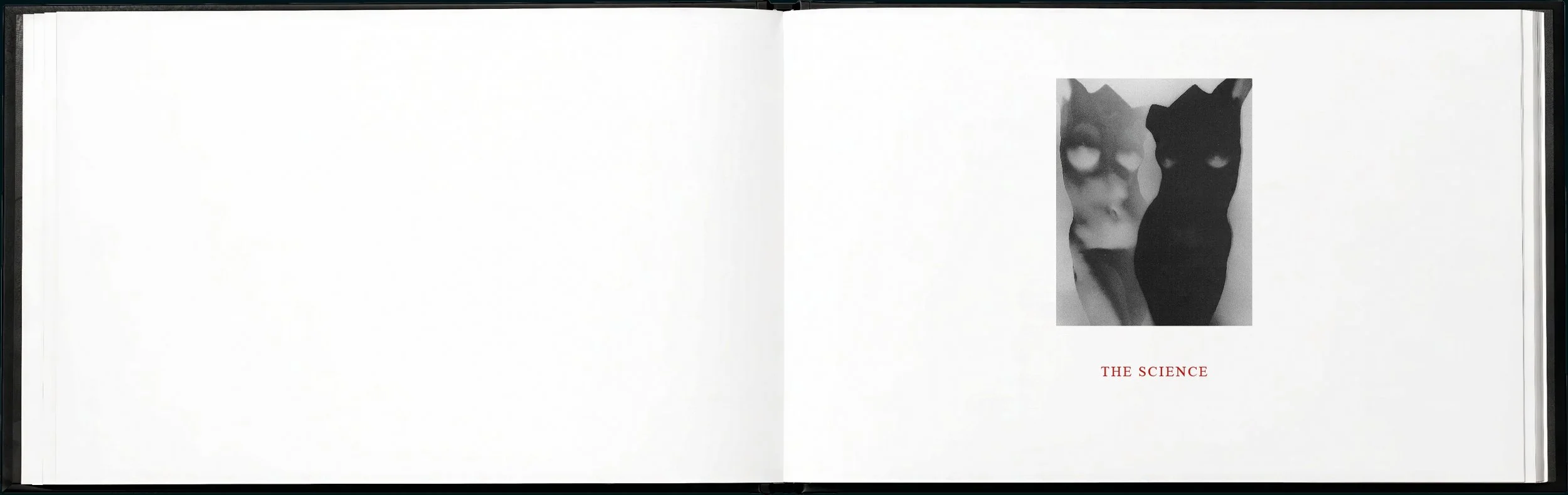 SYLVA brand book11.jpg