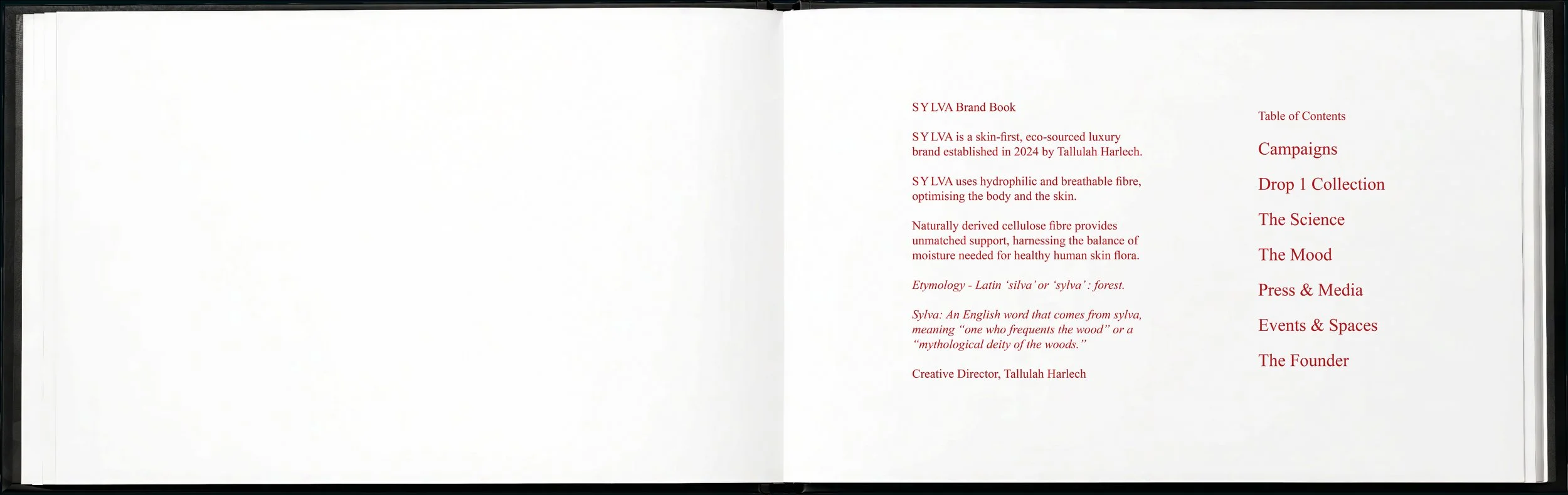 SYLVA brand book 4-5.jpg