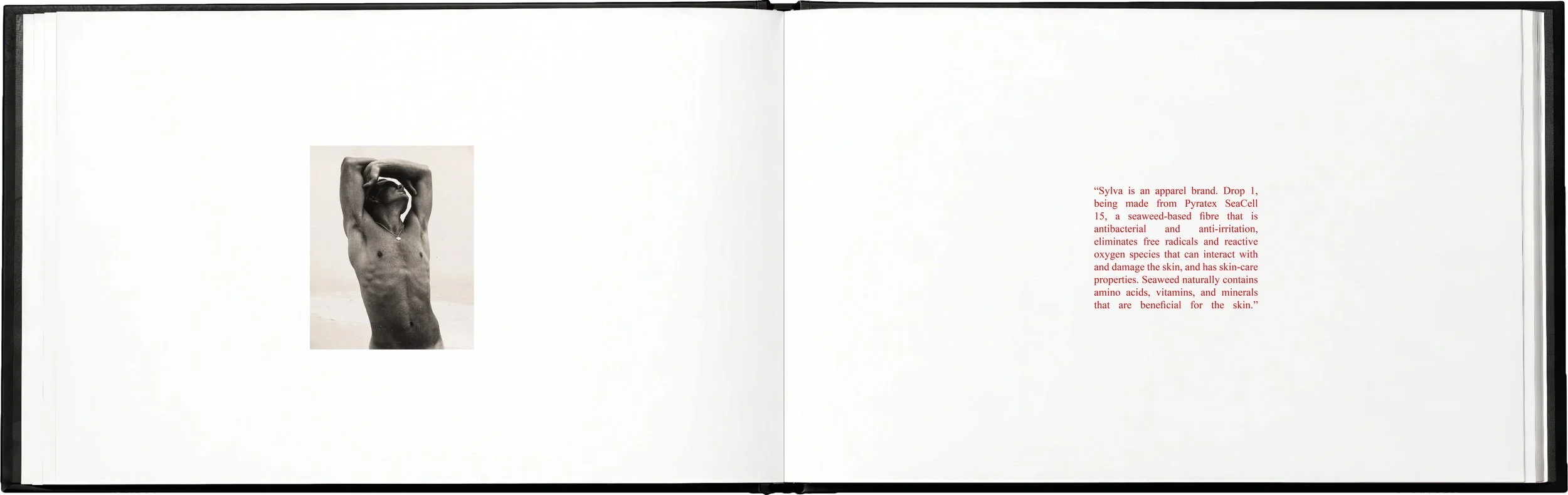 SYLVA brand book Q.jpg