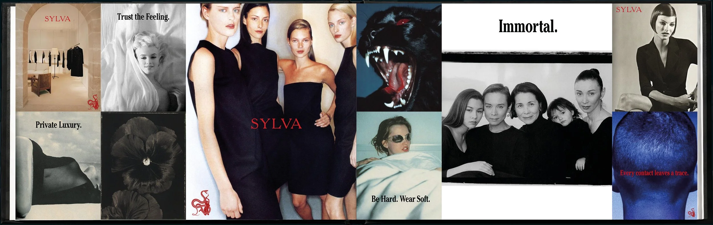 SYLVA brand book19.jpg