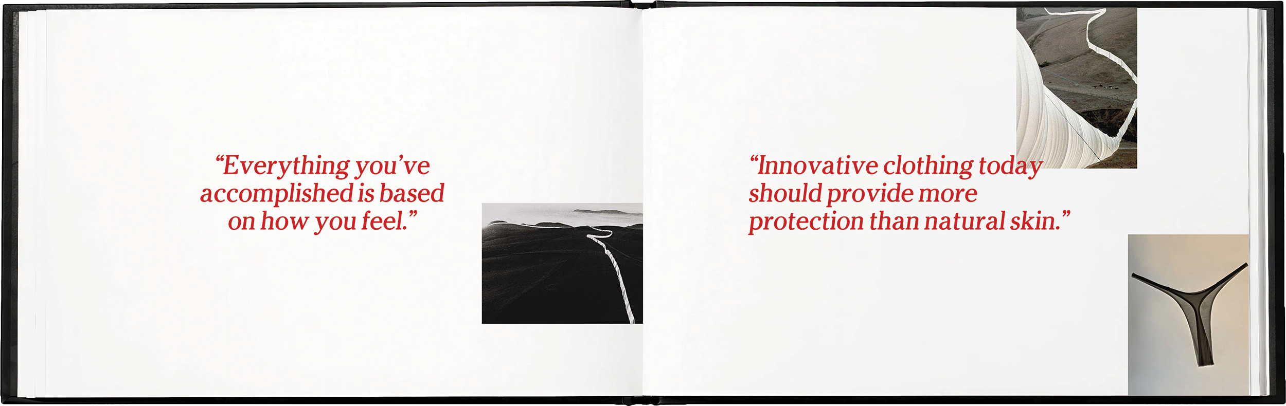 SYLVA brand book - 2.png